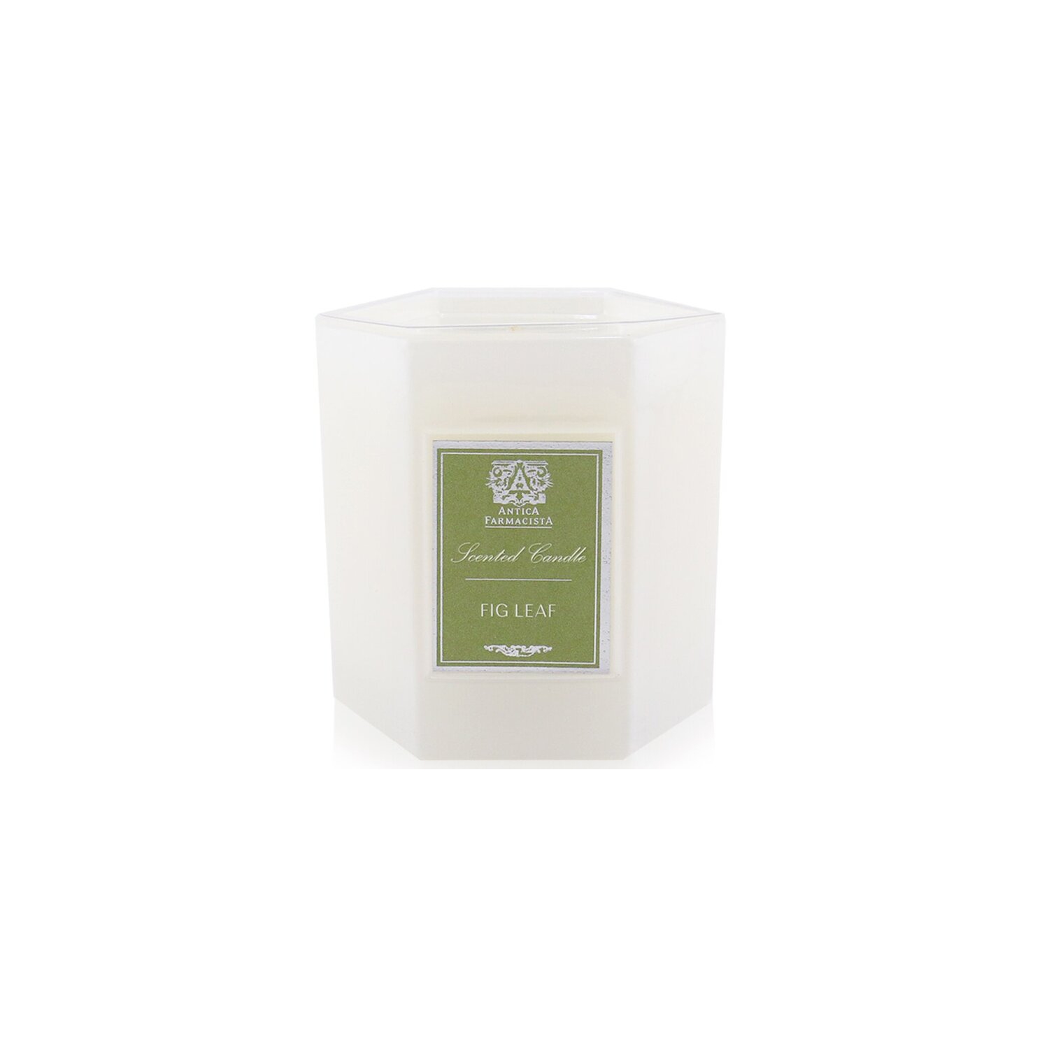 Candle - Fig Leaf 255g/9oz