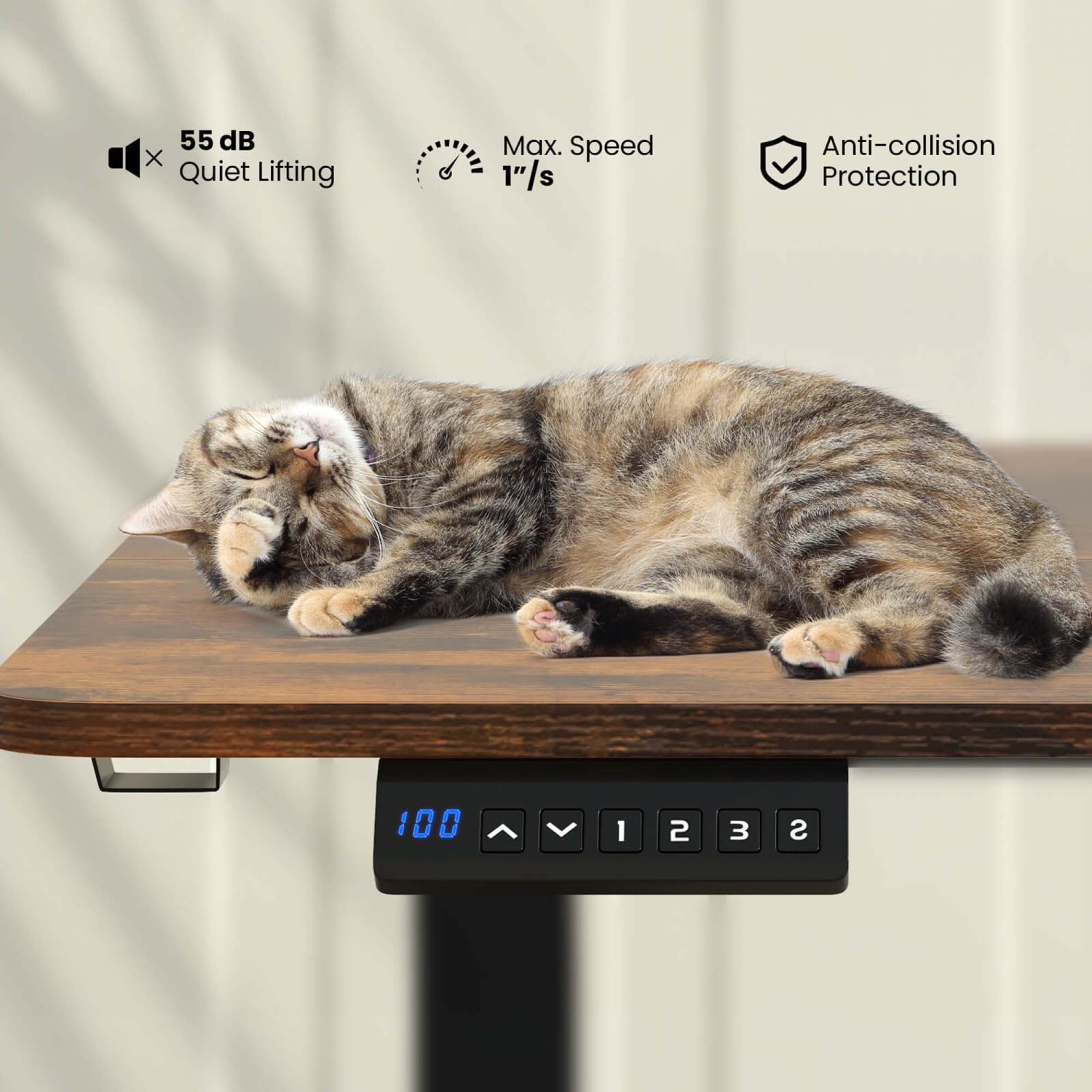 Costway 55" x 24" Electric Standing Desk with 3 Memory Height Settings 2 Hanging Hooks