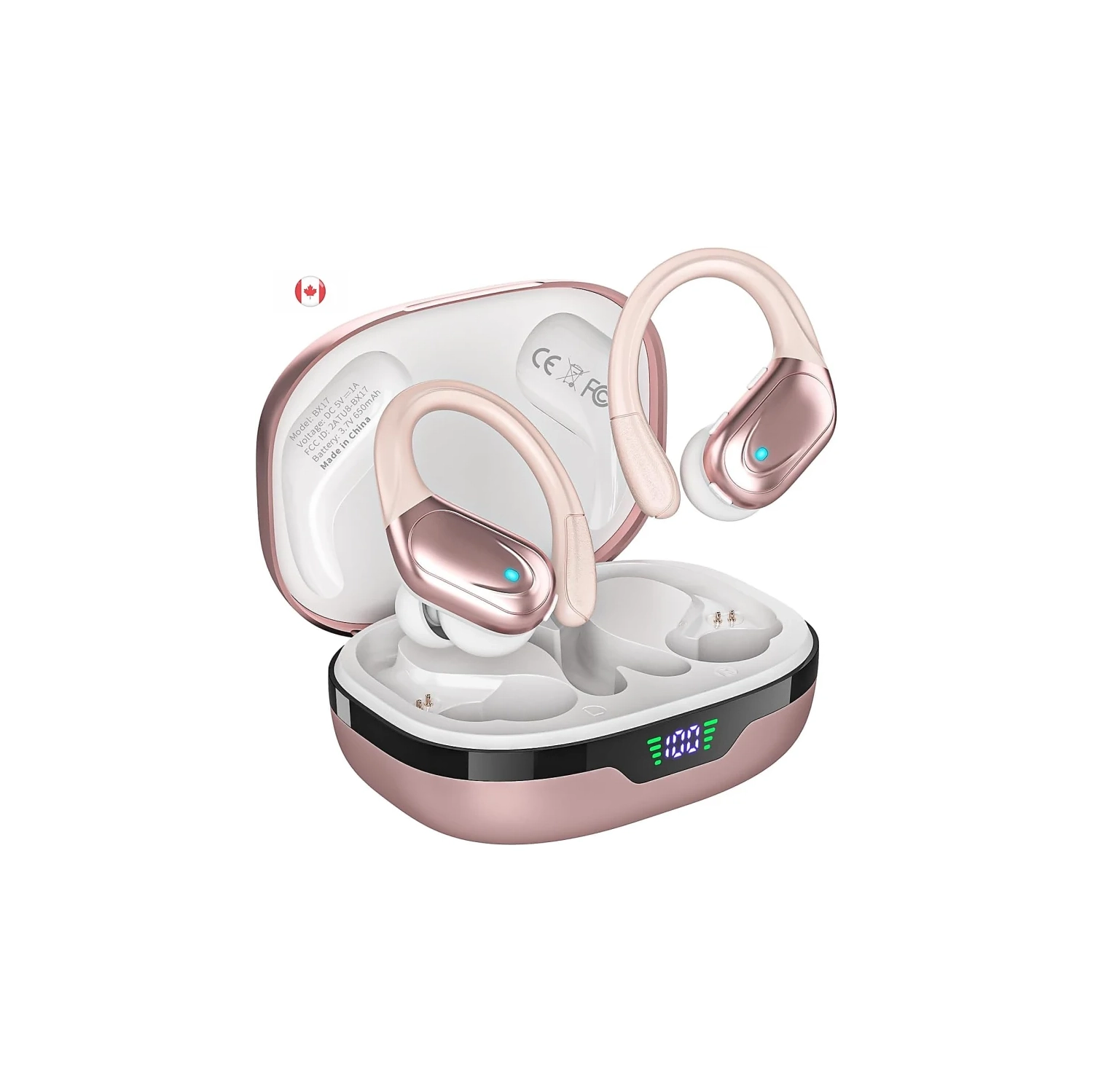 Wireless Bluetooth Earbuds with 80hrs Playback, Noise Canceling Mic & Power Display - Earhooks for Sports, Workout, Running