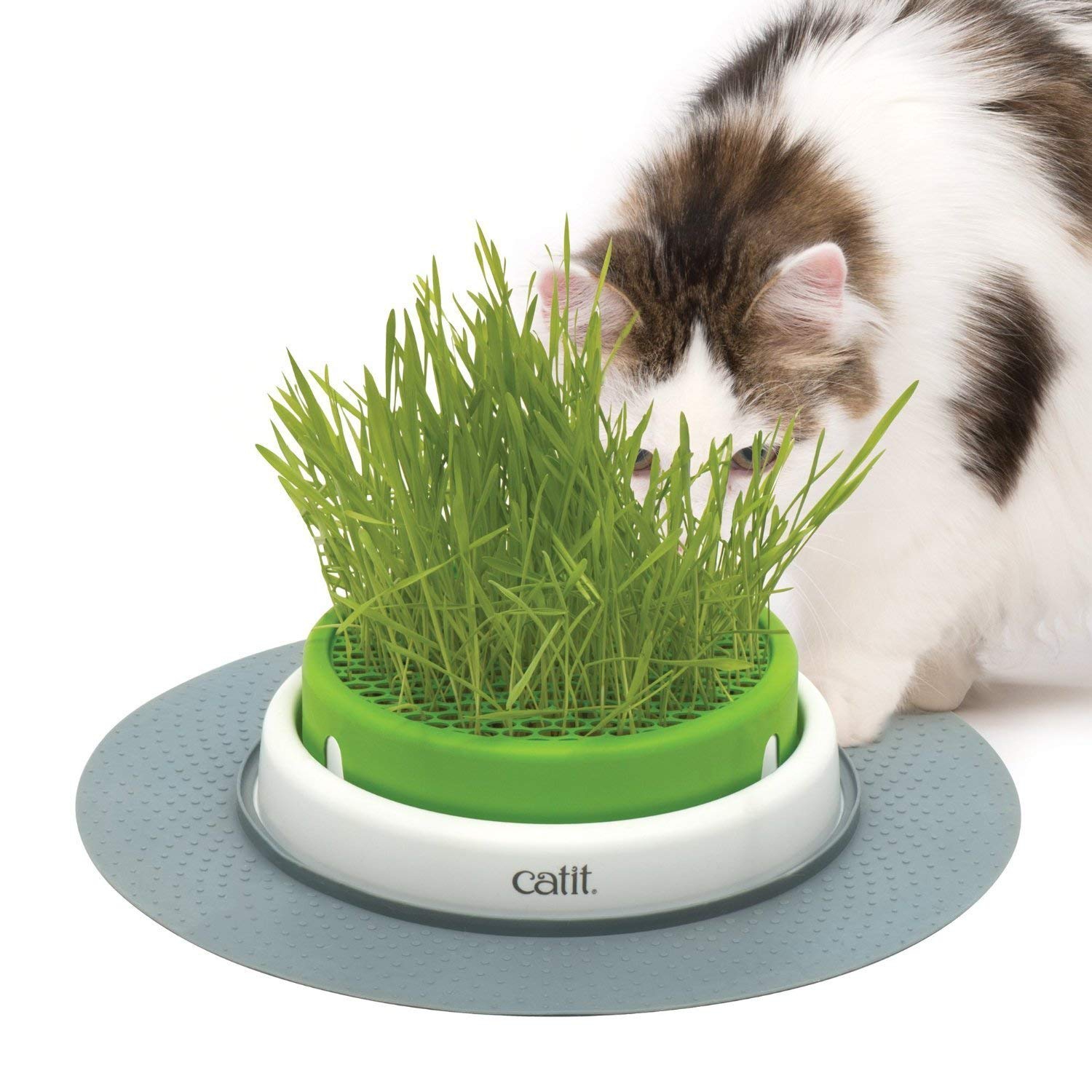 Catit Senses 2.0 Grass Planter, Green (43161W)