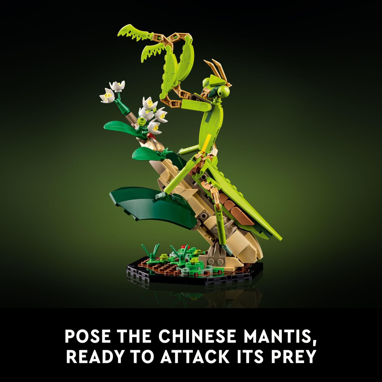 LEGO Ideas - la collection Insect, cadeau amusant pour les amoureux de la nature, avec papillon Morpho bleu grandeur nature, coccinelle d'Hercules