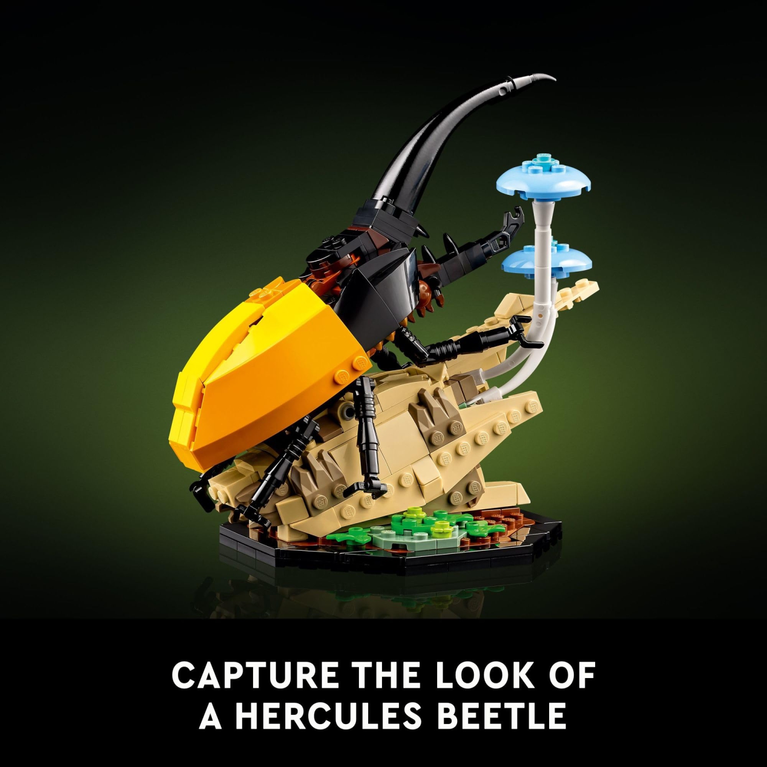 LEGO Ideas - la collection Insect, cadeau amusant pour les amoureux de la nature, avec papillon Morpho bleu grandeur nature, coccinelle d'Hercules
