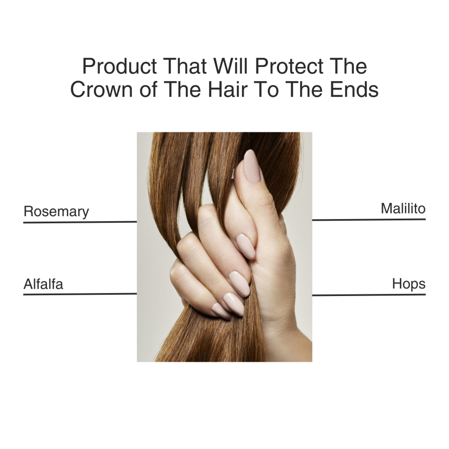 NuMe Hairology Scalp Serum - Promotes Hair Growth and Healthy Scalp