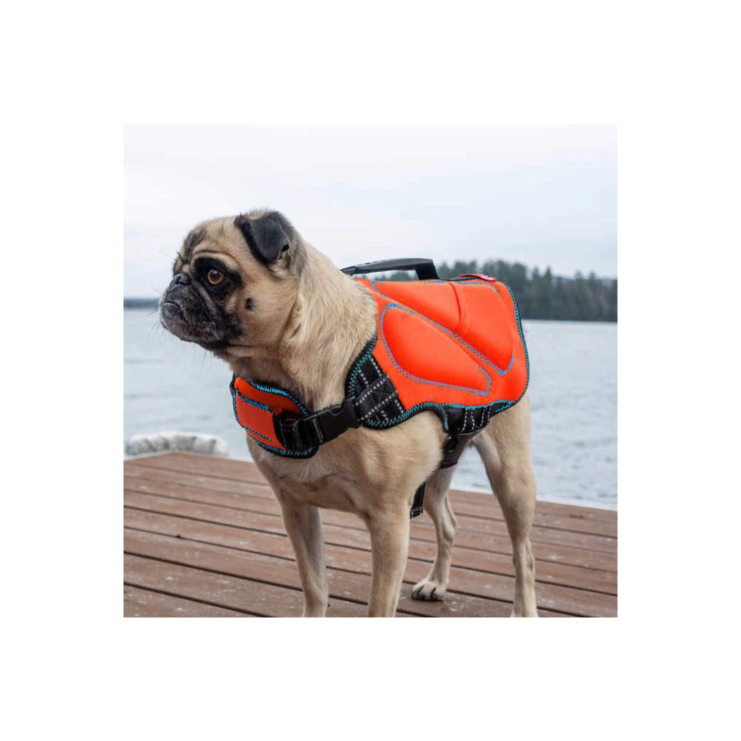 STIMULA LIFESTYLE SILVER PAW DOG LIFE JACKET FOR POOL, LAKE, OCEAN, RIVER & BEACH CANINE CERTIFIED ADJUSTABLE SIZE LARGE