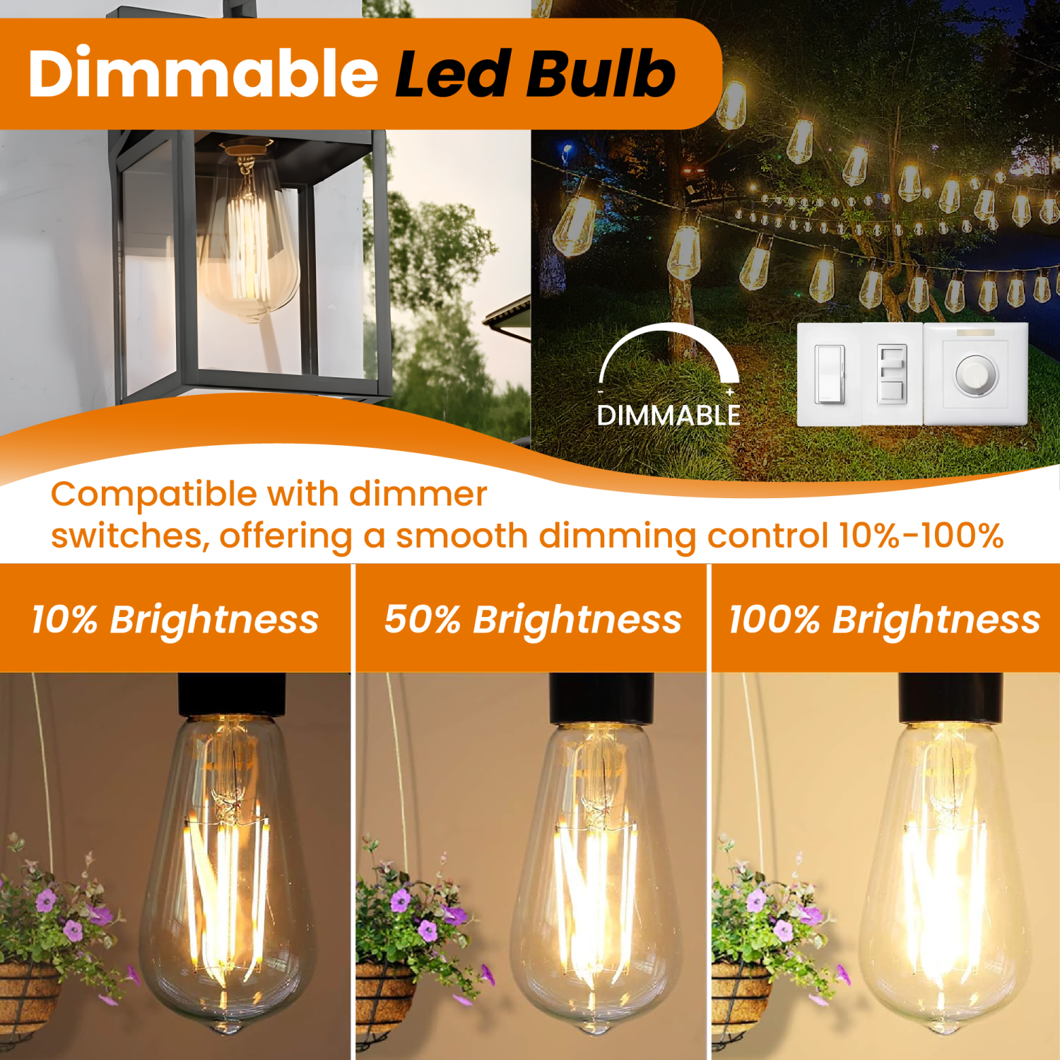 Ampoule LED à intensité réglable ST64 de Strak 6,5&nbsp;W, blanc chaud, 700LM, 90+, verre transparent, ampoules rétro, Edison E26, culot moyen, paq.