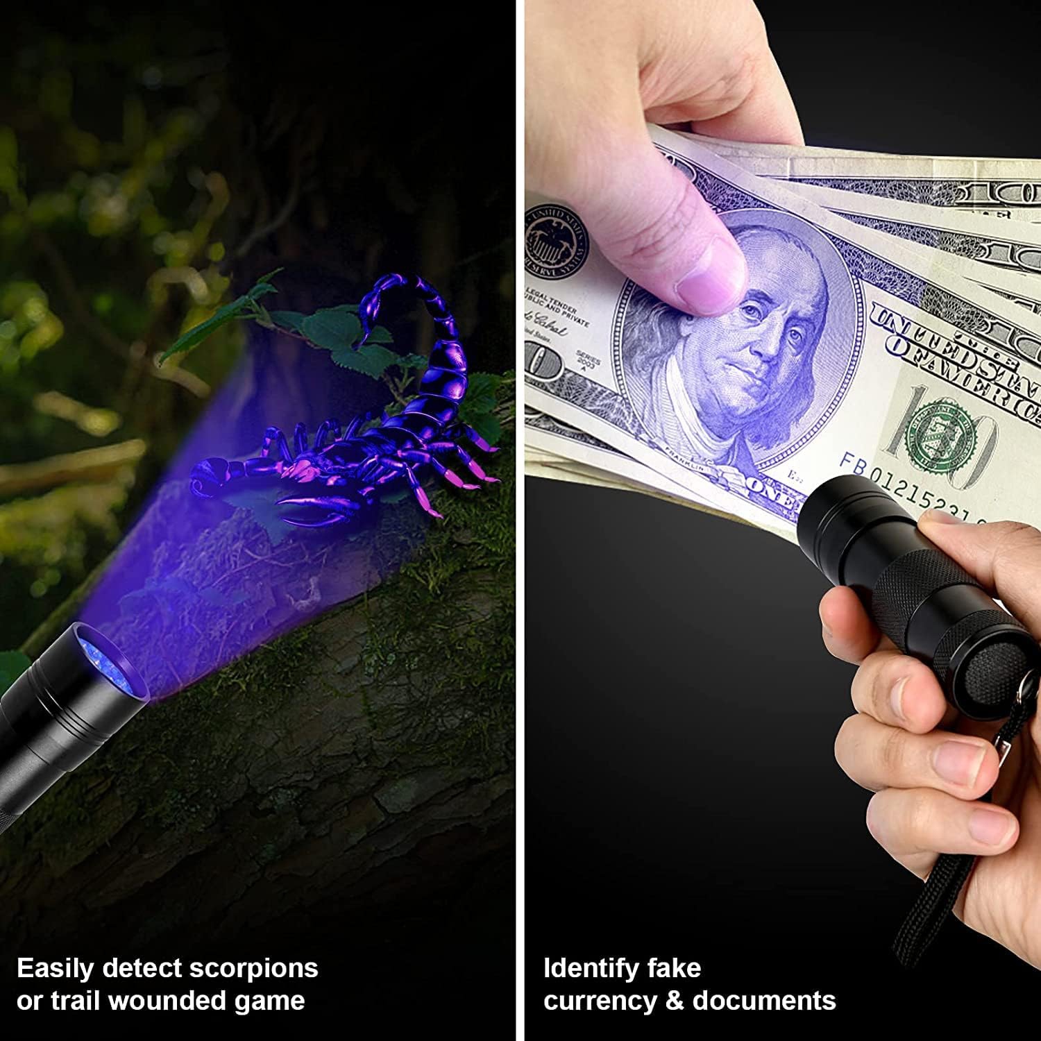 Lampe de poche UV MegaPower Lampe de poche noire 12 LED 395&nbsp;nm torche de détection à main pour l'urine d'animaux, les taches, la vérification