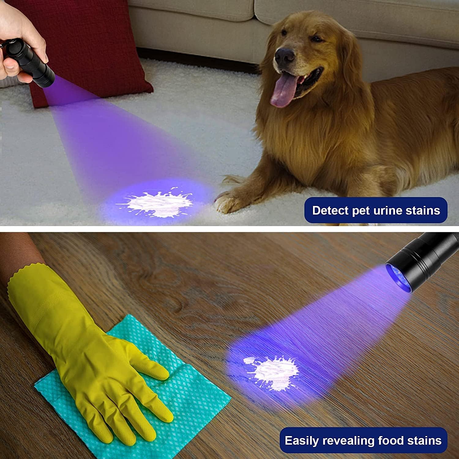 Lampe de poche UV MegaPower Lampe de poche noire 12 LED 395&nbsp;nm torche de détection à main pour l'urine d'animaux, les taches, la vérification