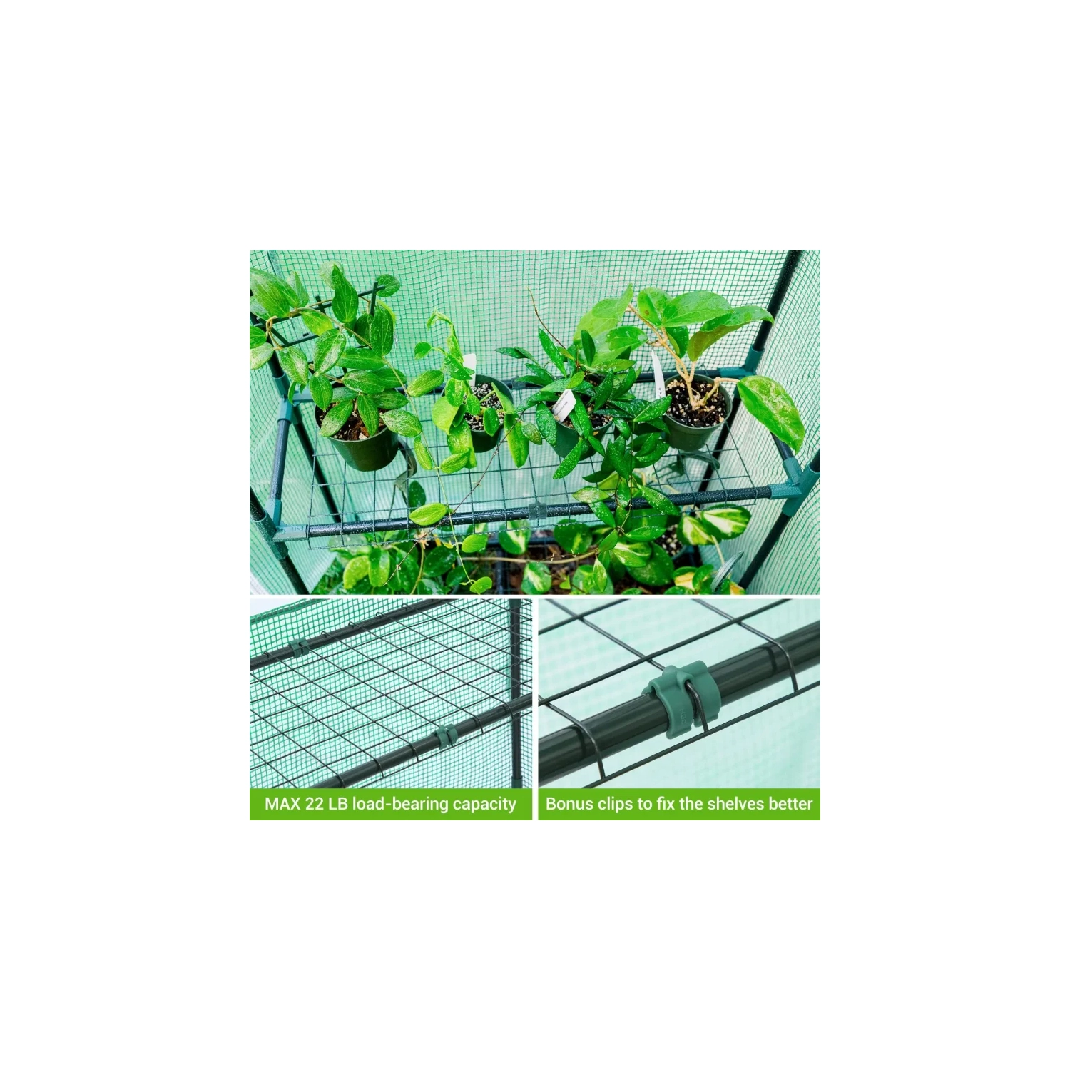 Ohuhu 57.9" x 30.3" x 76.8" Outdoor Greenhouse with Observation Windows, Walk-in 3-Tier 4-Shelf Plant Stand for Seedlings, Flowers, and Plant Growing