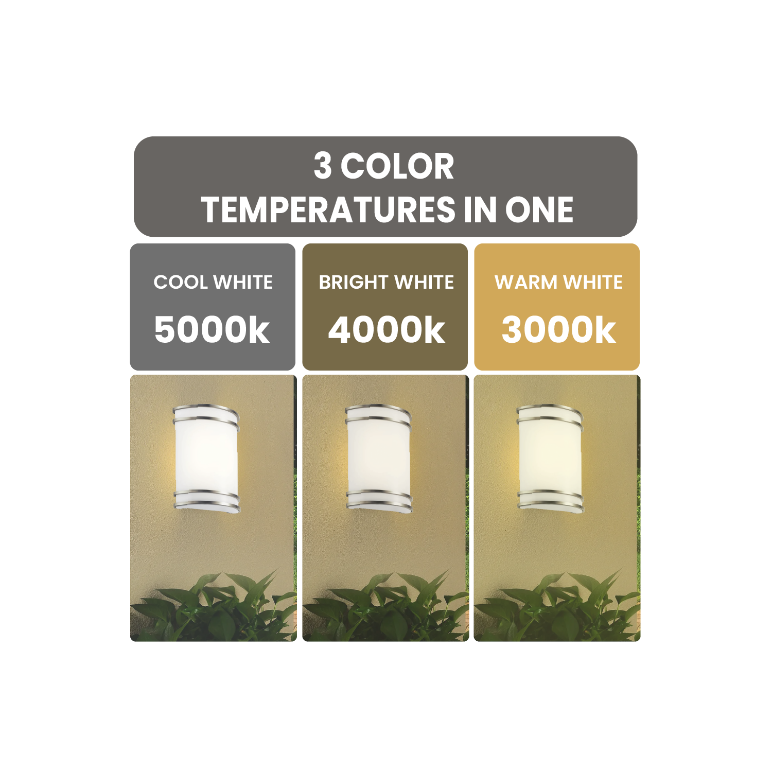 Applique murale nickel brossé à intensité réglable 12&nbsp;W 3CCT couleurs, éclairage mural moderne, abat-jour en verre luminaire mural pour salle de