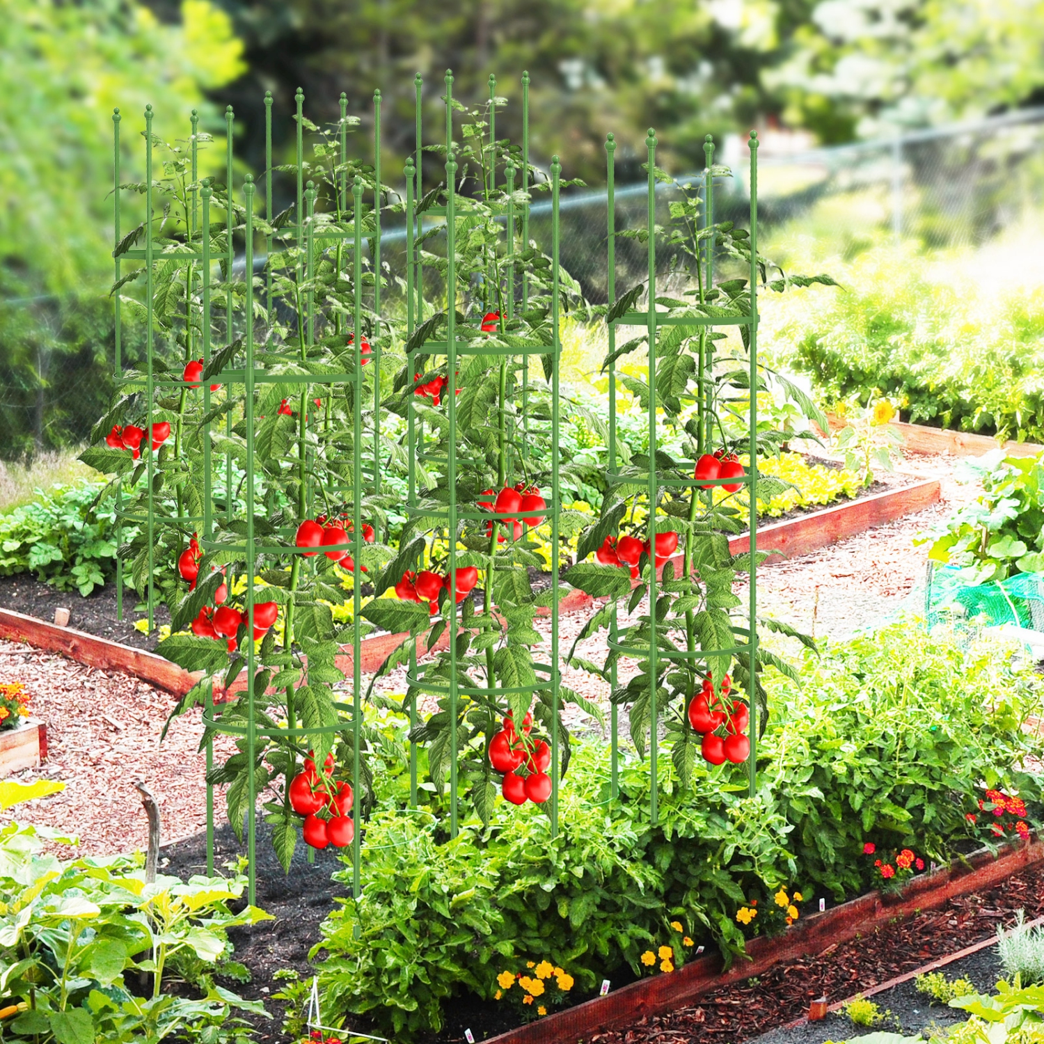 Costway 2-Pack Garden Trellis 57" Plant Support & Tomato Cages with Adjustable Height