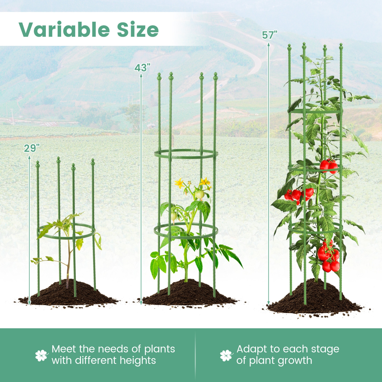 Costway 2-Pack Garden Trellis 57" Plant Support & Tomato Cages with Adjustable Height