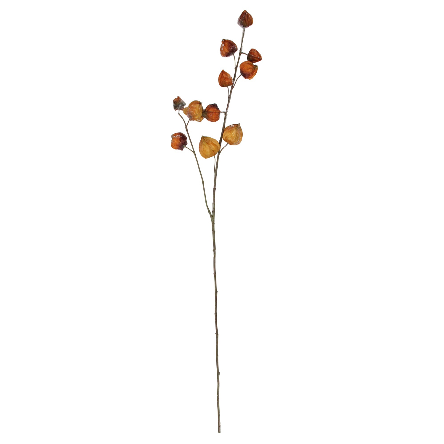 Frosted Chinese Lantern Artificial Fall Spray - 36" - Brown