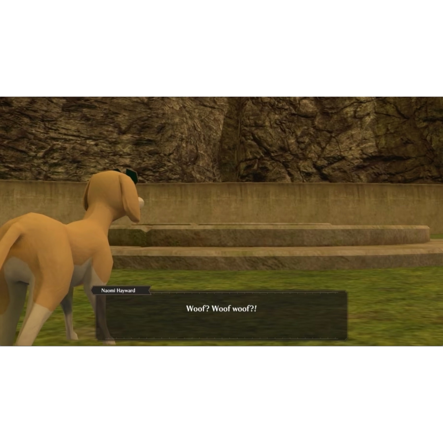 The Good Life (Ninendo Switch)