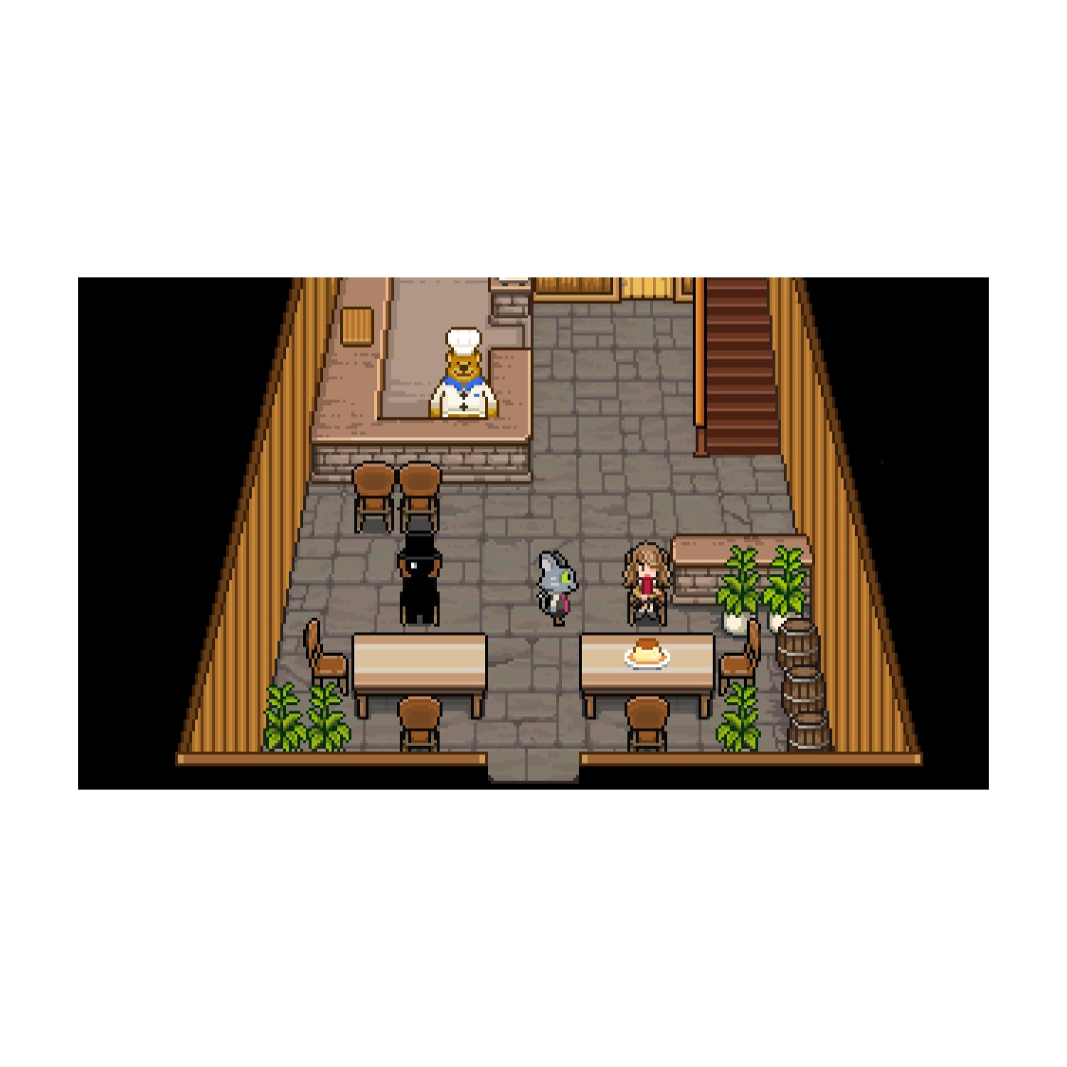 Odencats Paradise Collection (Ninenddo Switch)