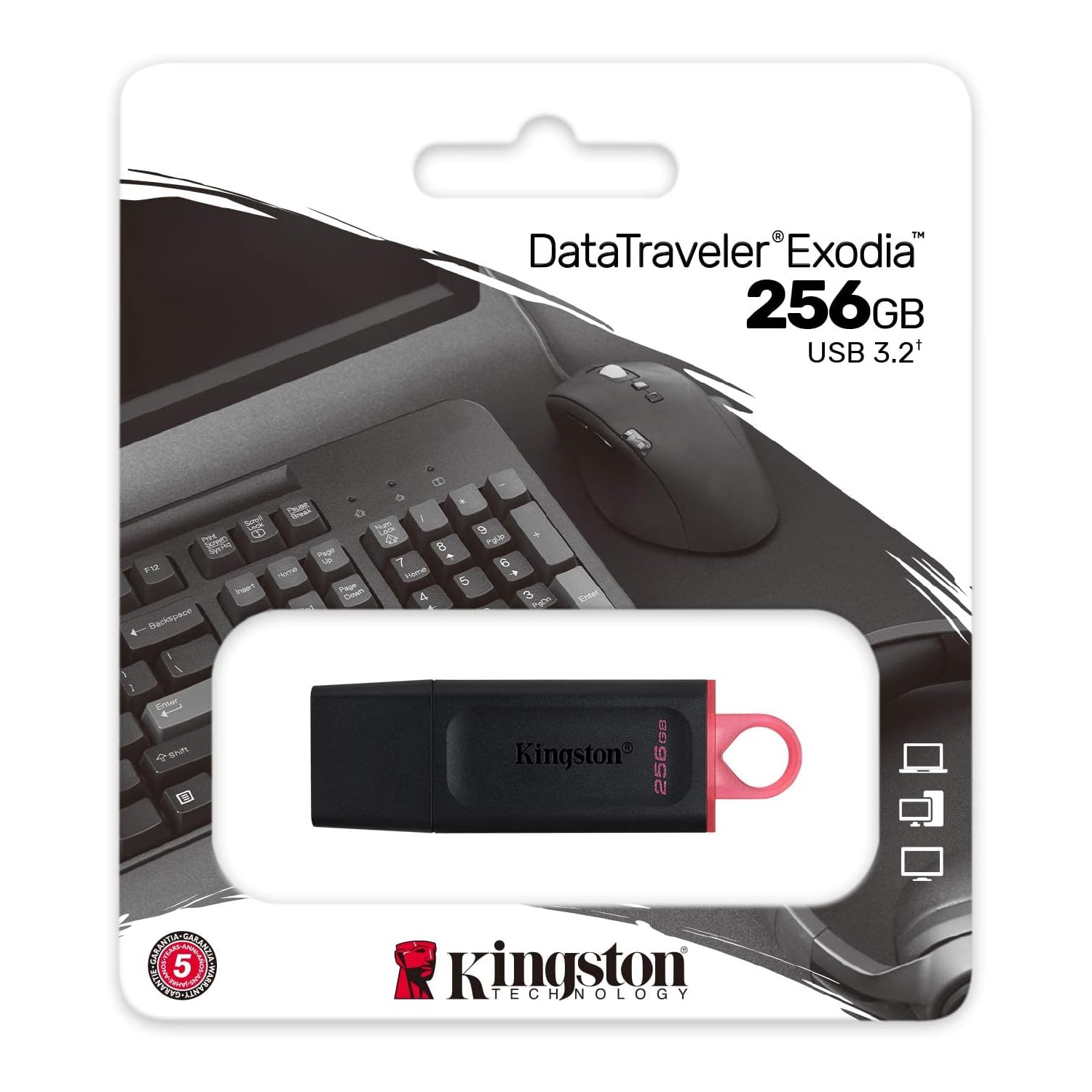 Kingston DataTraveler Exodia 256GB USB 3.2 Flash Drive DTX/256GB