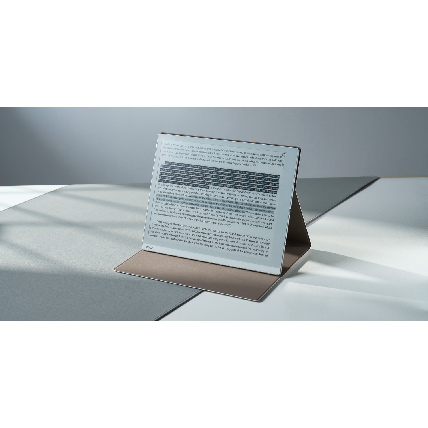 BOOX Go 10.3 Magnetic Case