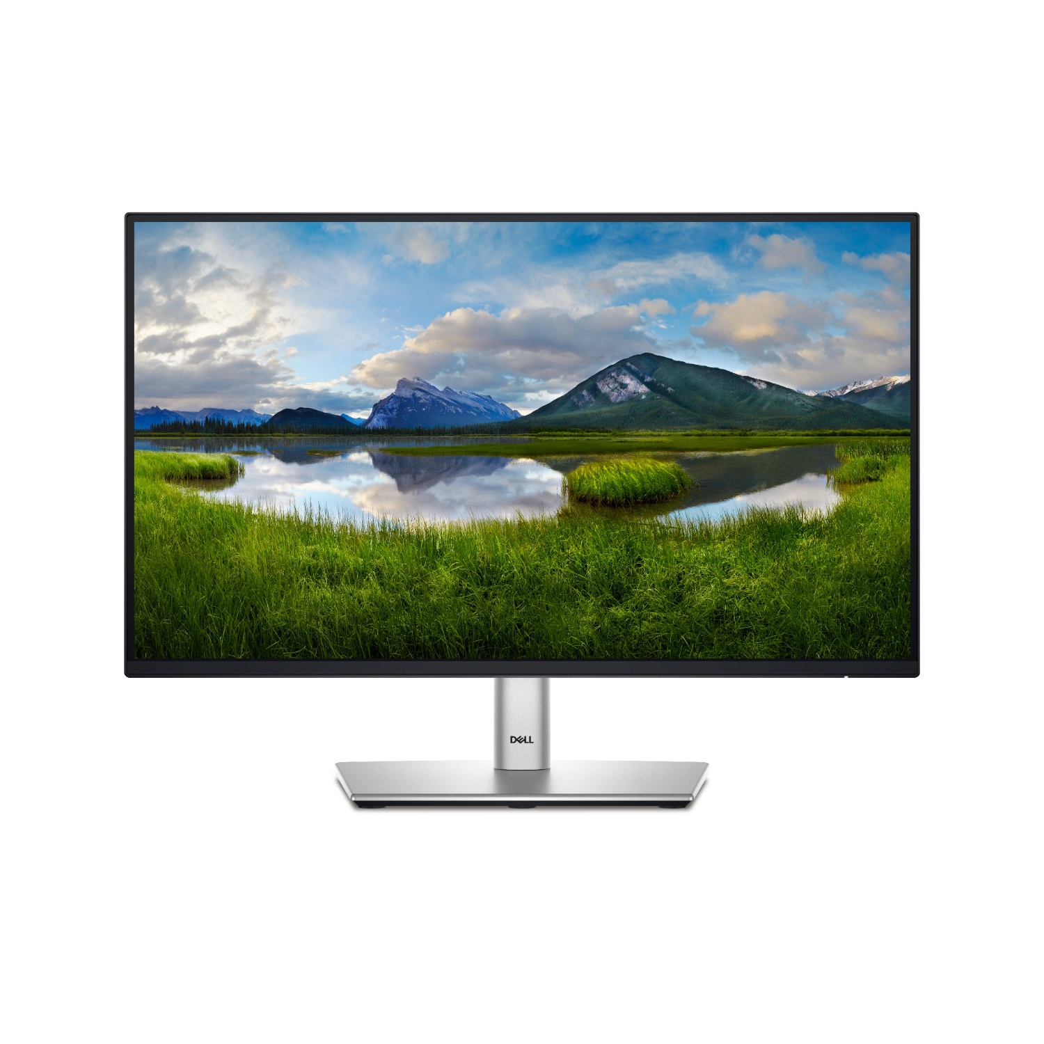 Dell 22 Monitor - P2225H