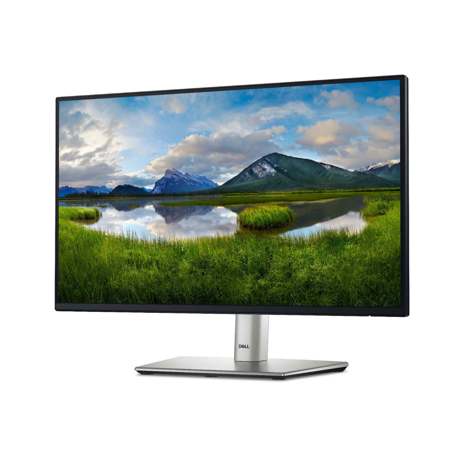 Dell 22 Monitor - P2225H