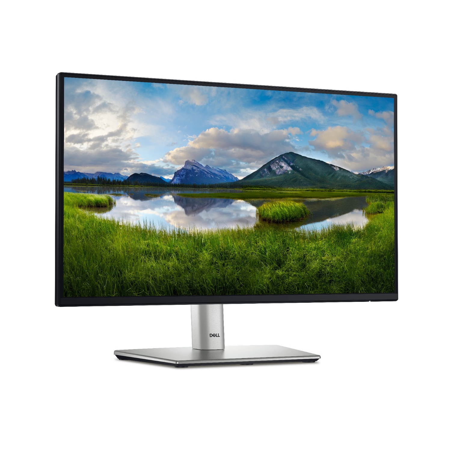 Dell 22 Monitor - P2225H