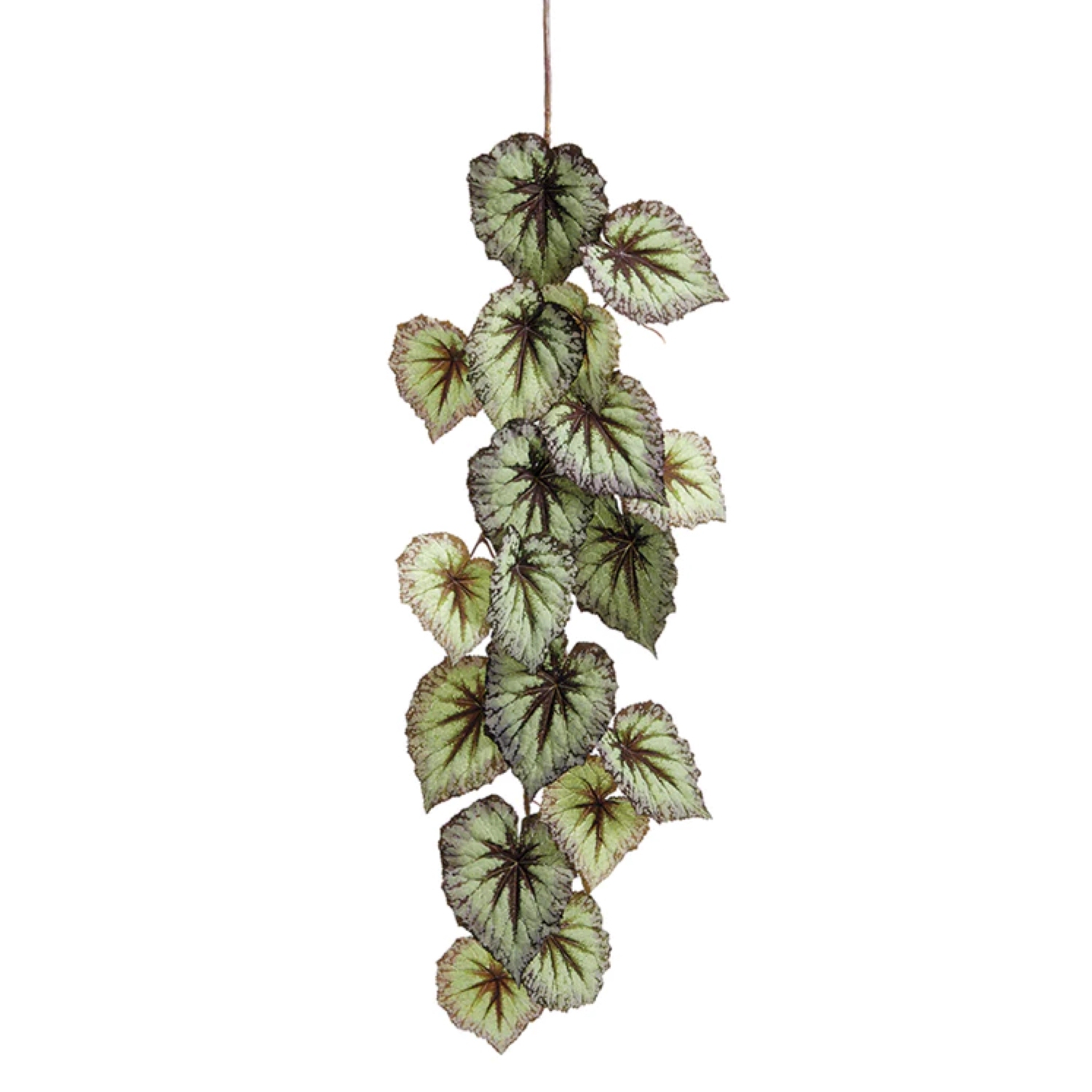 Begonia Leaf Hanging Spray - 43" - Green and Purple