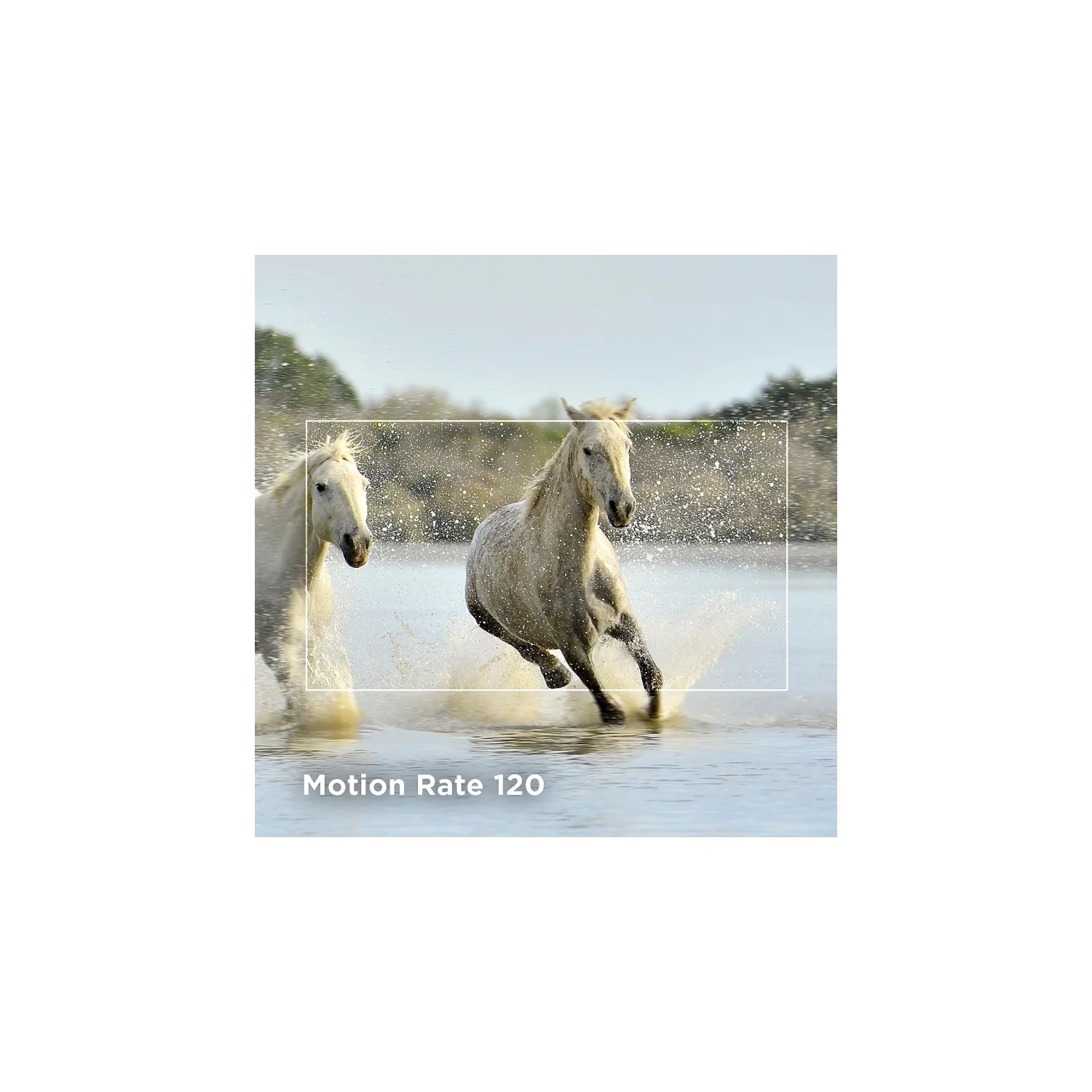 Téléviseur intelligent DEL S4 4K de 55 po de TCL avec Fire TV - Dolby Vision HDR, Dolby Atmos, Alexa intégré, AirPlay d'Apple, Noir