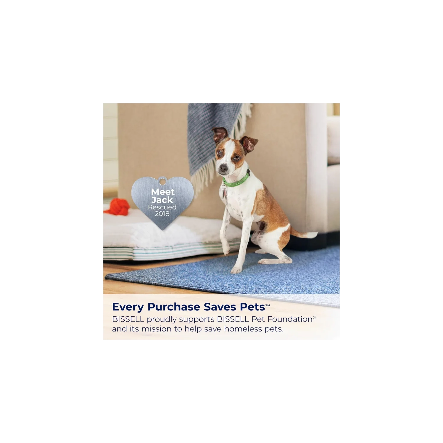 Nettoyeur portatif de tapis et de tissus Little Green® Max Pet de BISSELL® - Décloueuse automatique avec détachant autonettoyant et outils