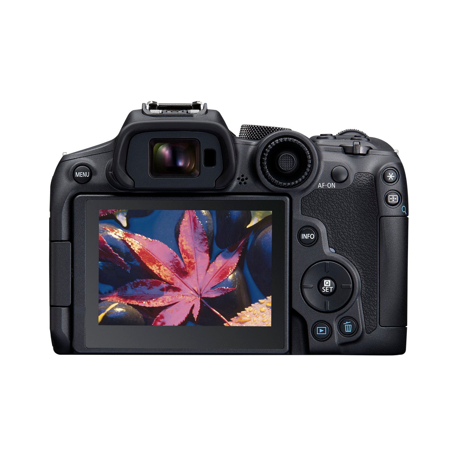 Canon EOS R7 Mirrorless Camera w/RF-S18-150mm f/3.5-6.3 is STM Lens Kit