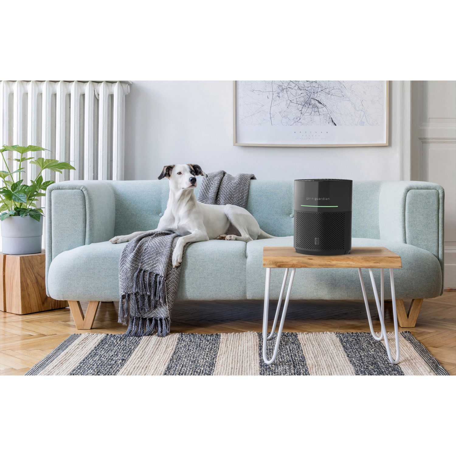 GermGuardian AC3000B AirSafe+ Air Purifier with True HEPA Filter & UV-C - Black