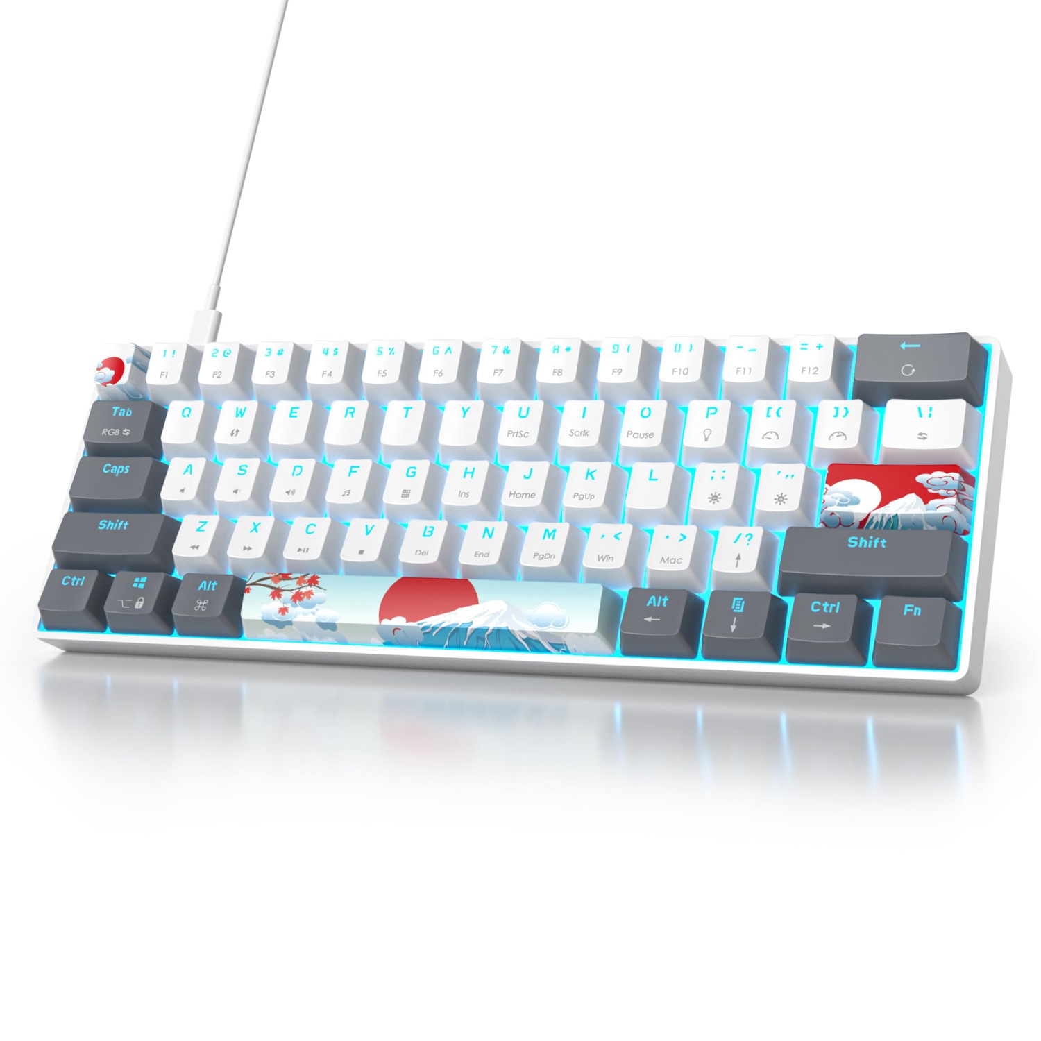 RGB Mechanical Keyboard 60 Percent Red Switches, Ultra-Compact Mini Wired Gaming Keybaord with Backlit PBT Dye-Sub Keycaps for Win/Mac/PC (White/Red Switch)