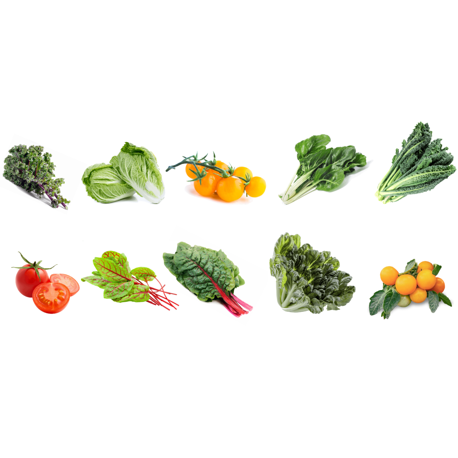 Vegehome Vegetable Bundle - 10 Pack