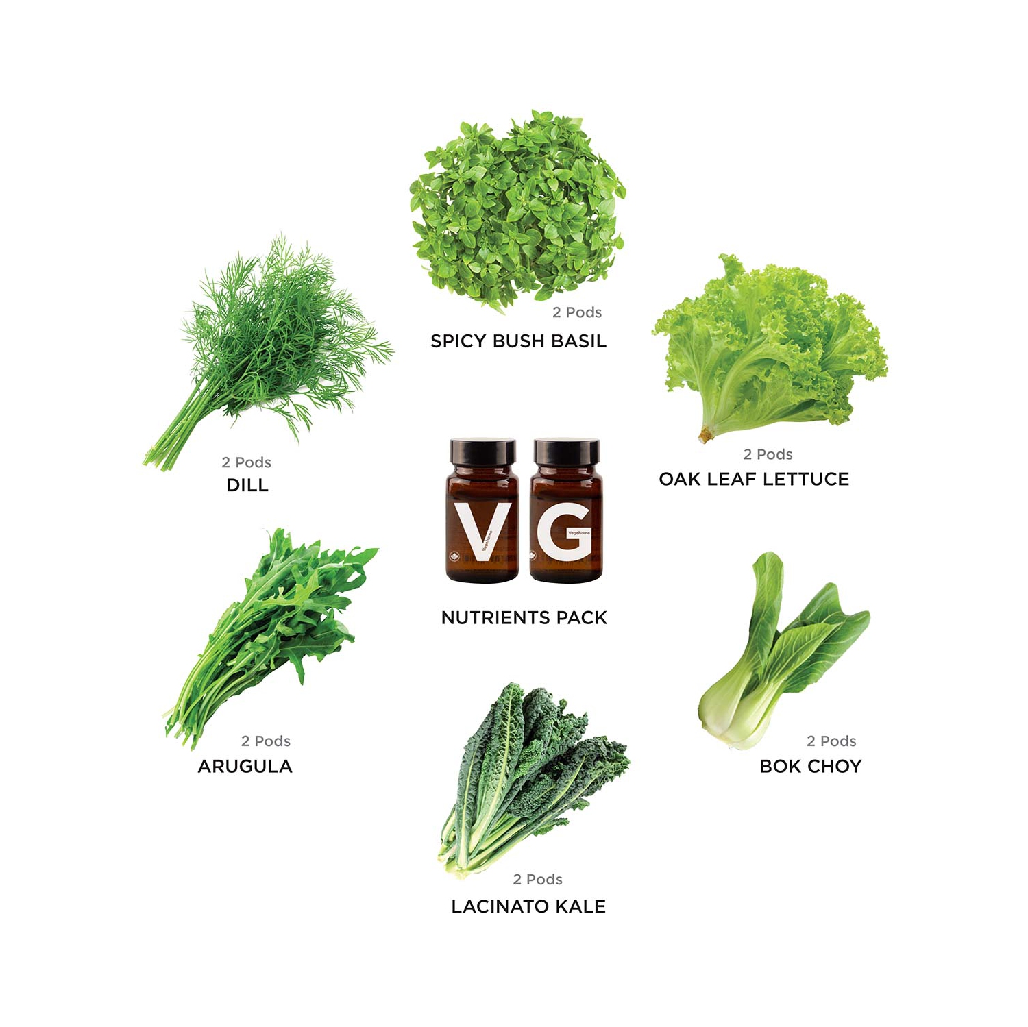 Vegehome Starter Kit Essential - 6 Pack