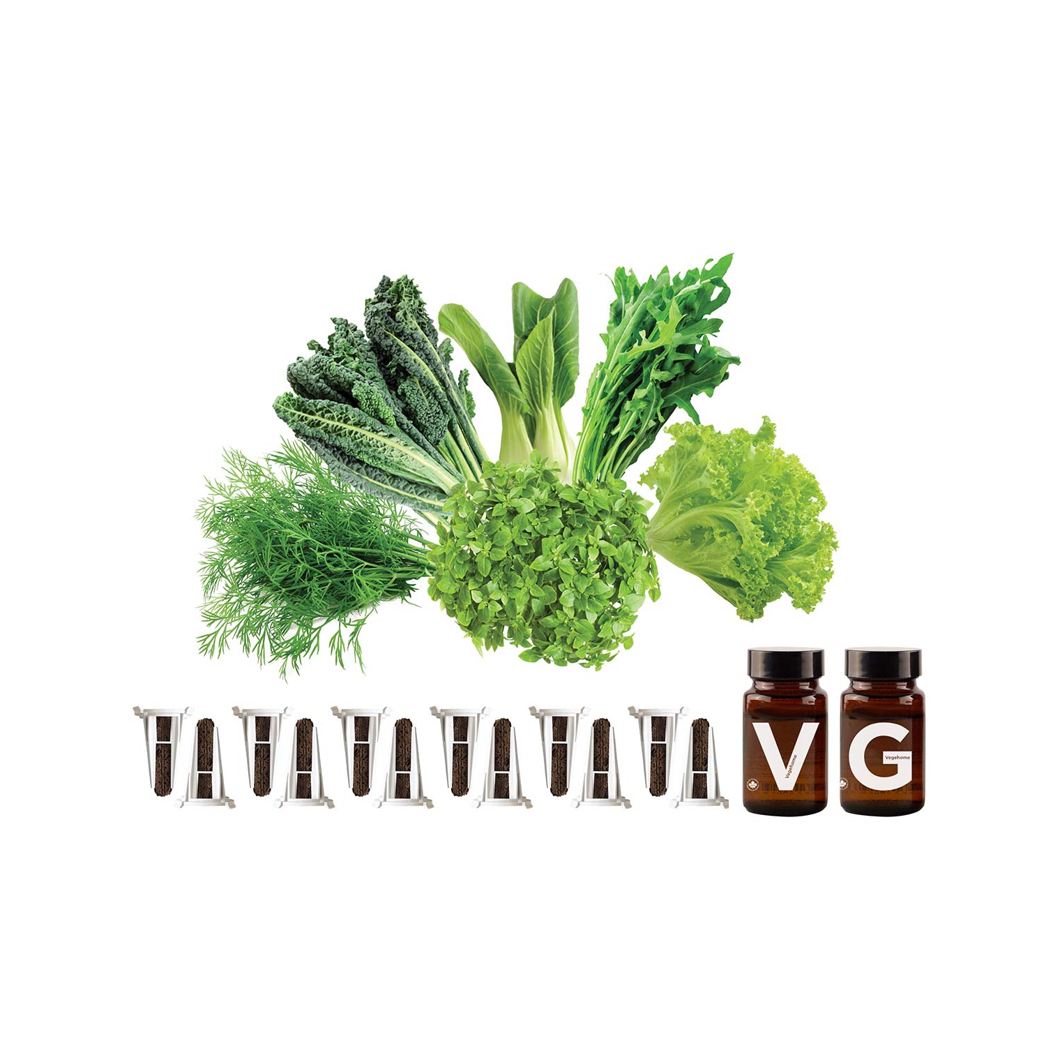 Vegehome Starter Kit Essential - 6 Pack