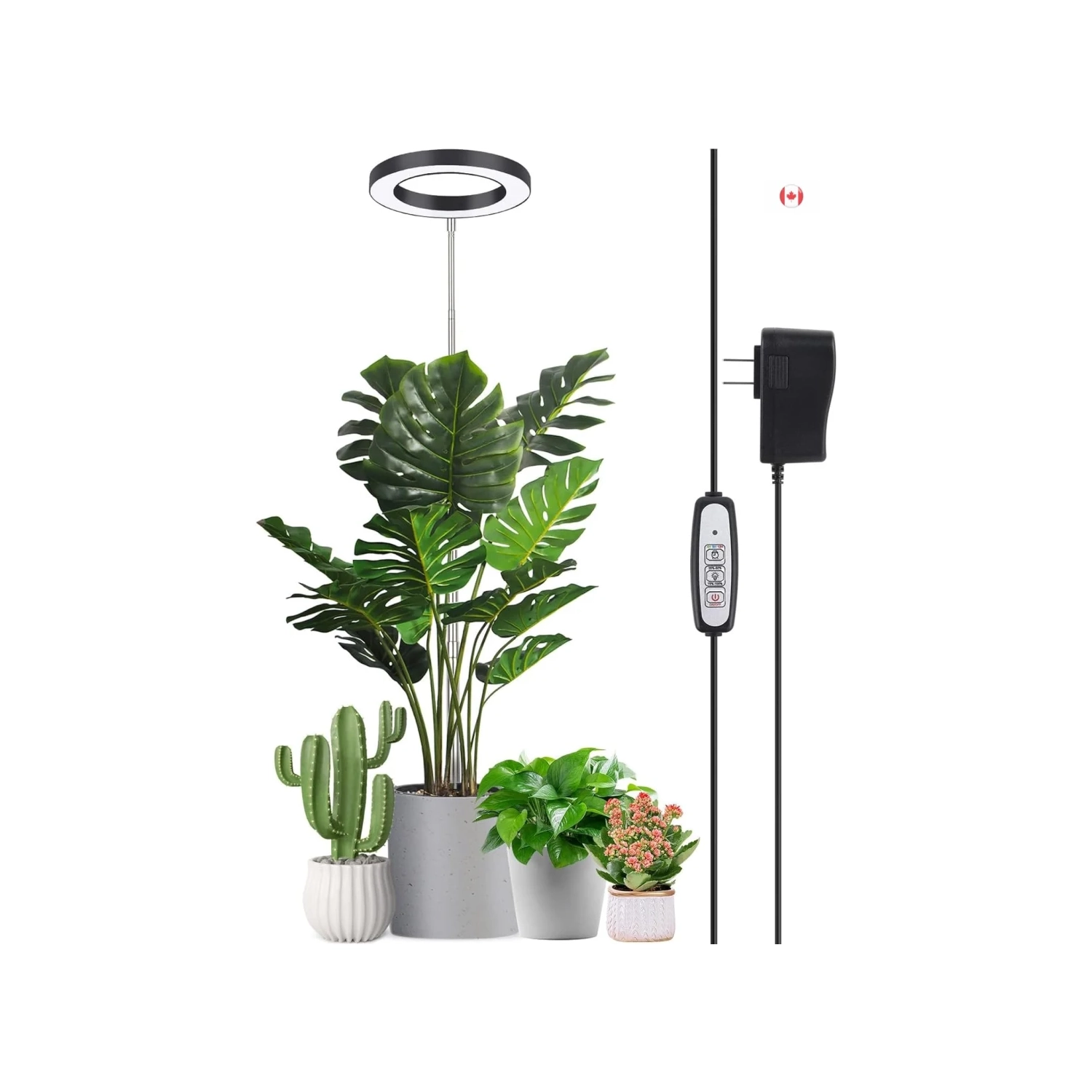 Lampe de culture DEL à spectre complet : Luminosité réglable, minuterie marche/arrêt automatique, hauteur réglable, idéal pour les grandes plantes