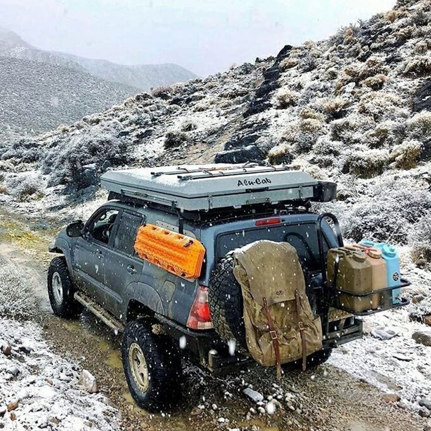 Scepter BPA Durable 5 Gallon Portable Water Storage Container, Green