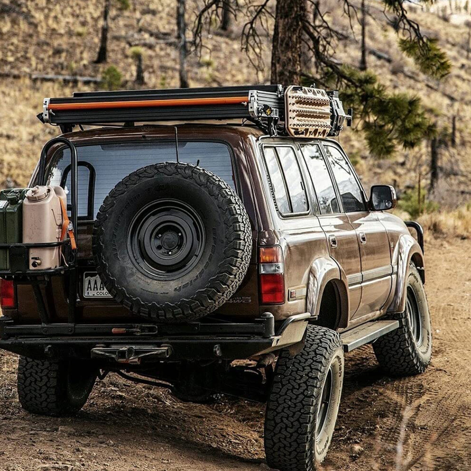 Scepter BPA Durable 5 Gallon Portable Water Storage Container, Green