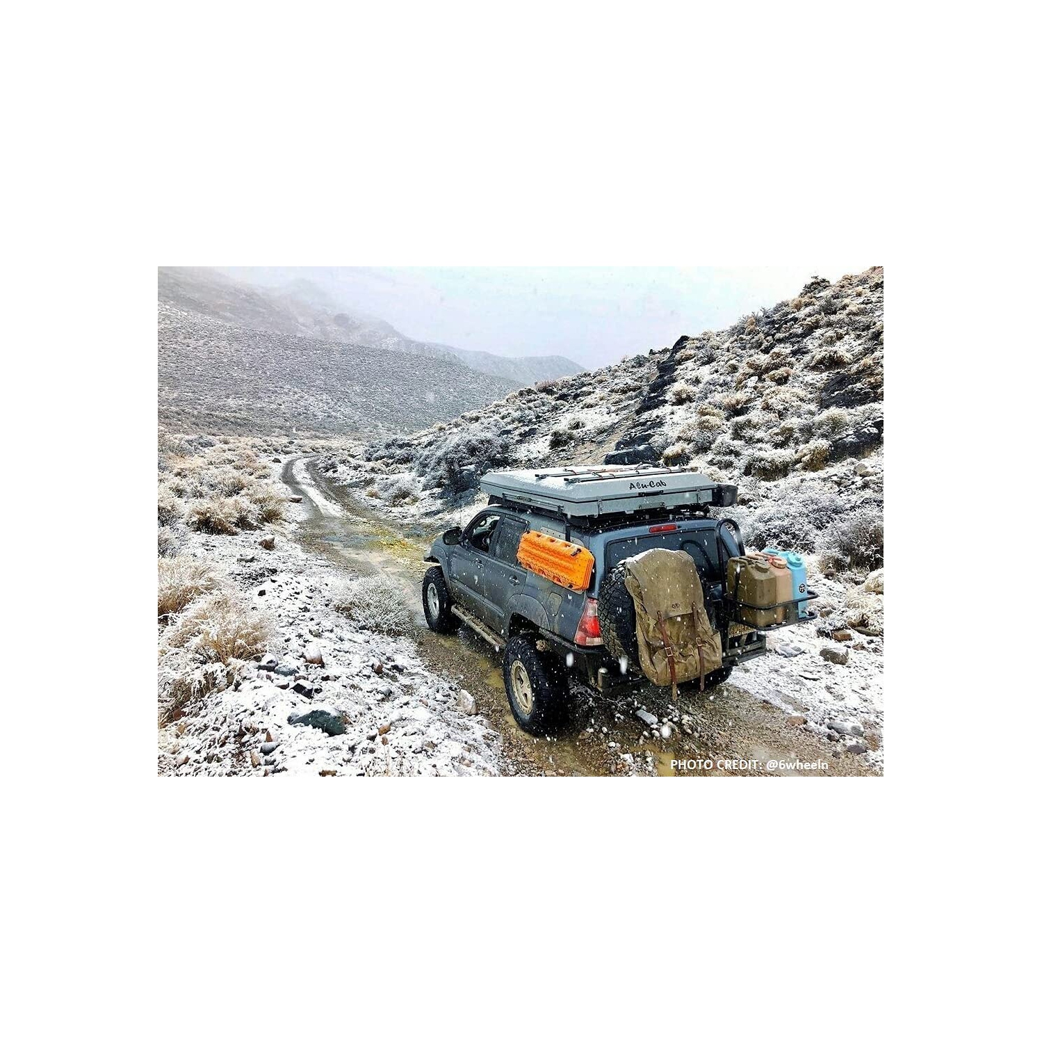 Scepter BPA Durable 5 Gallon Portable Water Storage Container, Green