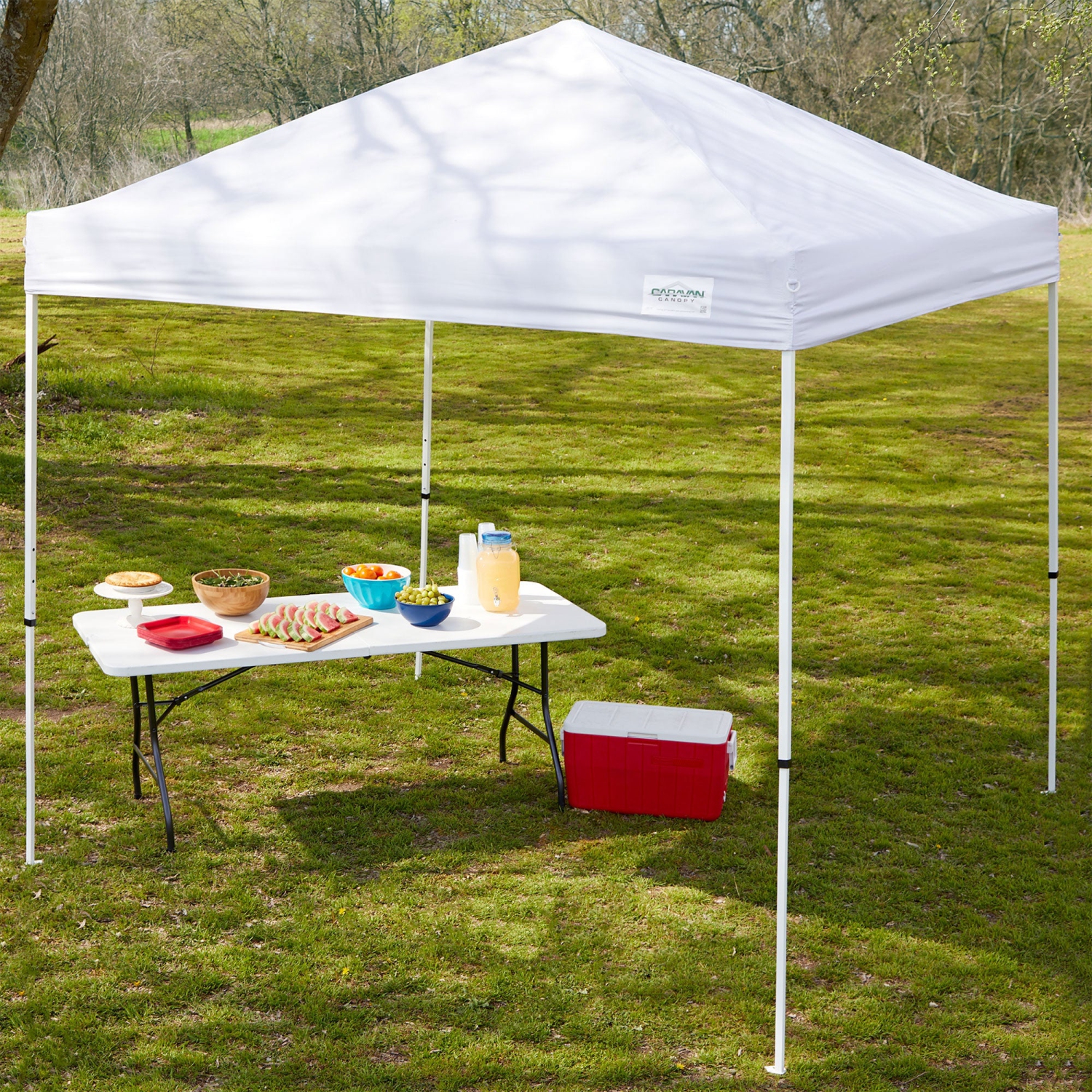 Caravan Canopy – tente télescopique à pattes droites de la série M Pro, 2 10 x 10&nbsp;pi, blanc