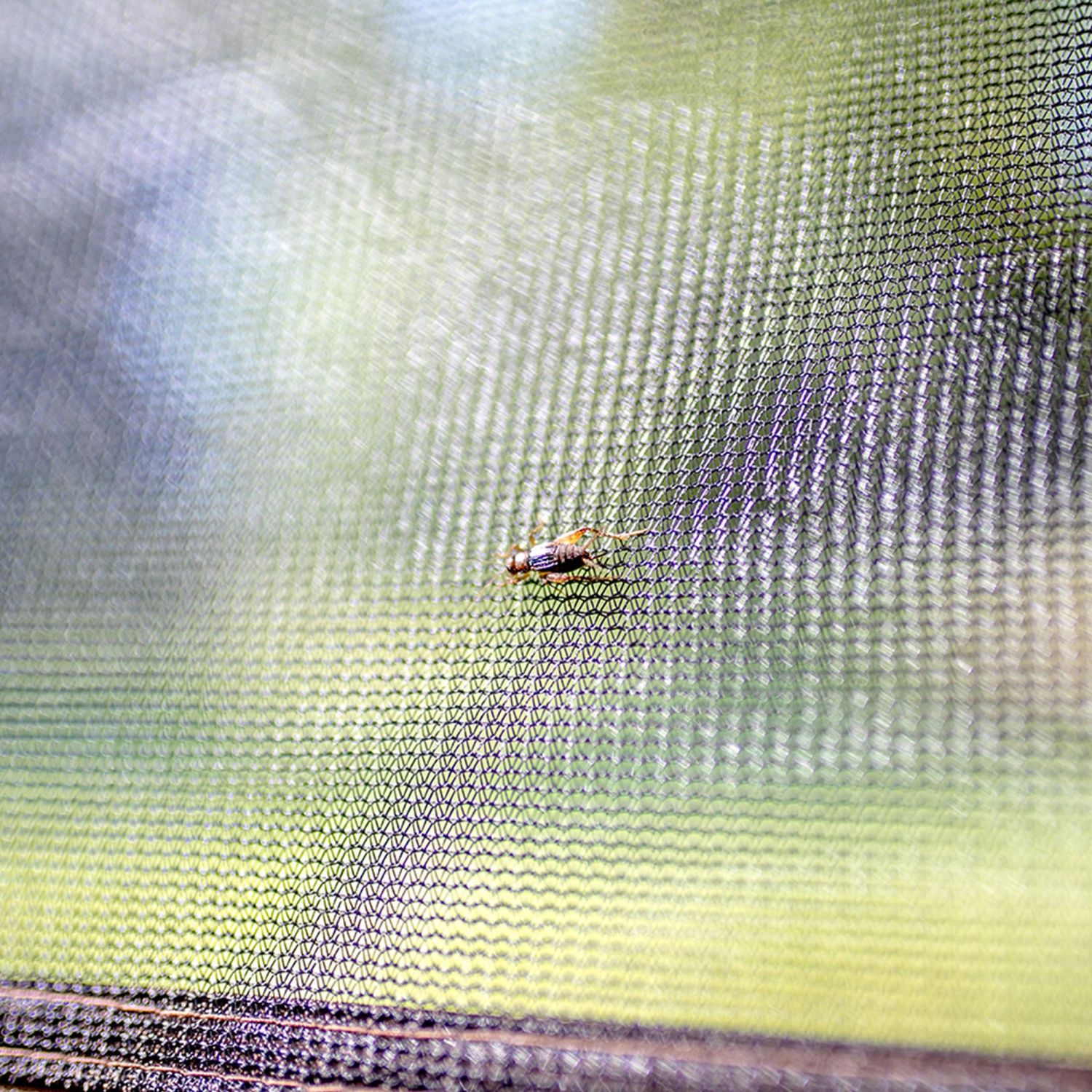 Abri de camping portatif d'extérieur CLAM Quick Set Venture, 9 x 9 pi, brun