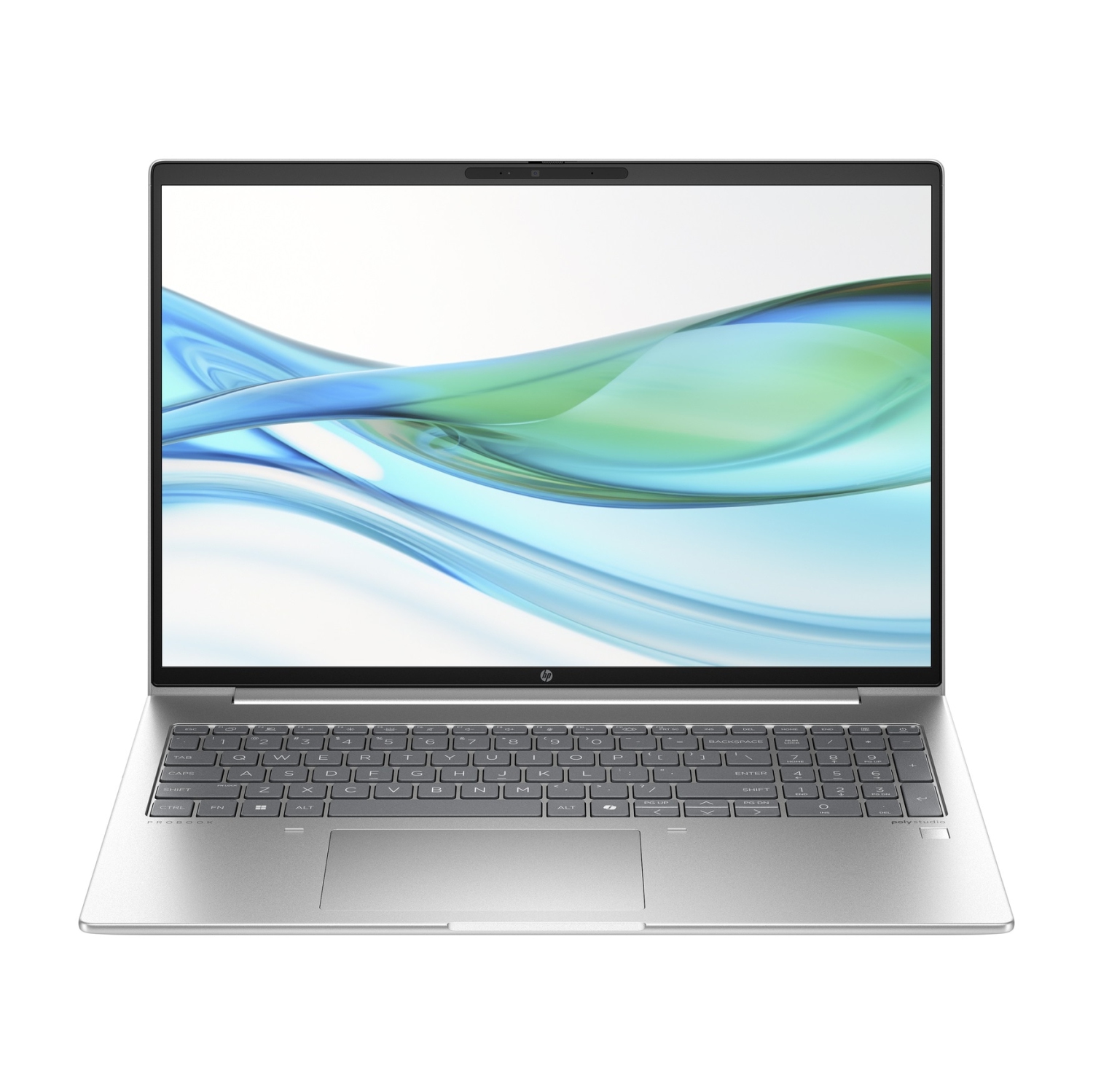 HP ProBook 460 G11 16" Notebook PC-Pike Silver(Intel Core Ultra 5 125U/512GB SSD/16GB RAM/Windows 11)-Bilingual-(A1LD7UT#ABL)