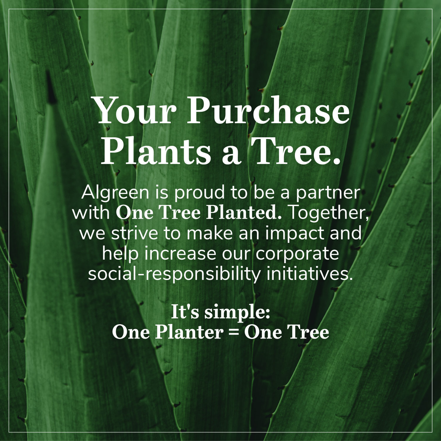 AlGreen Products – Pot à fleurs et jardinière à arrosage automatique 87313 Athena, 28,5 po, brun