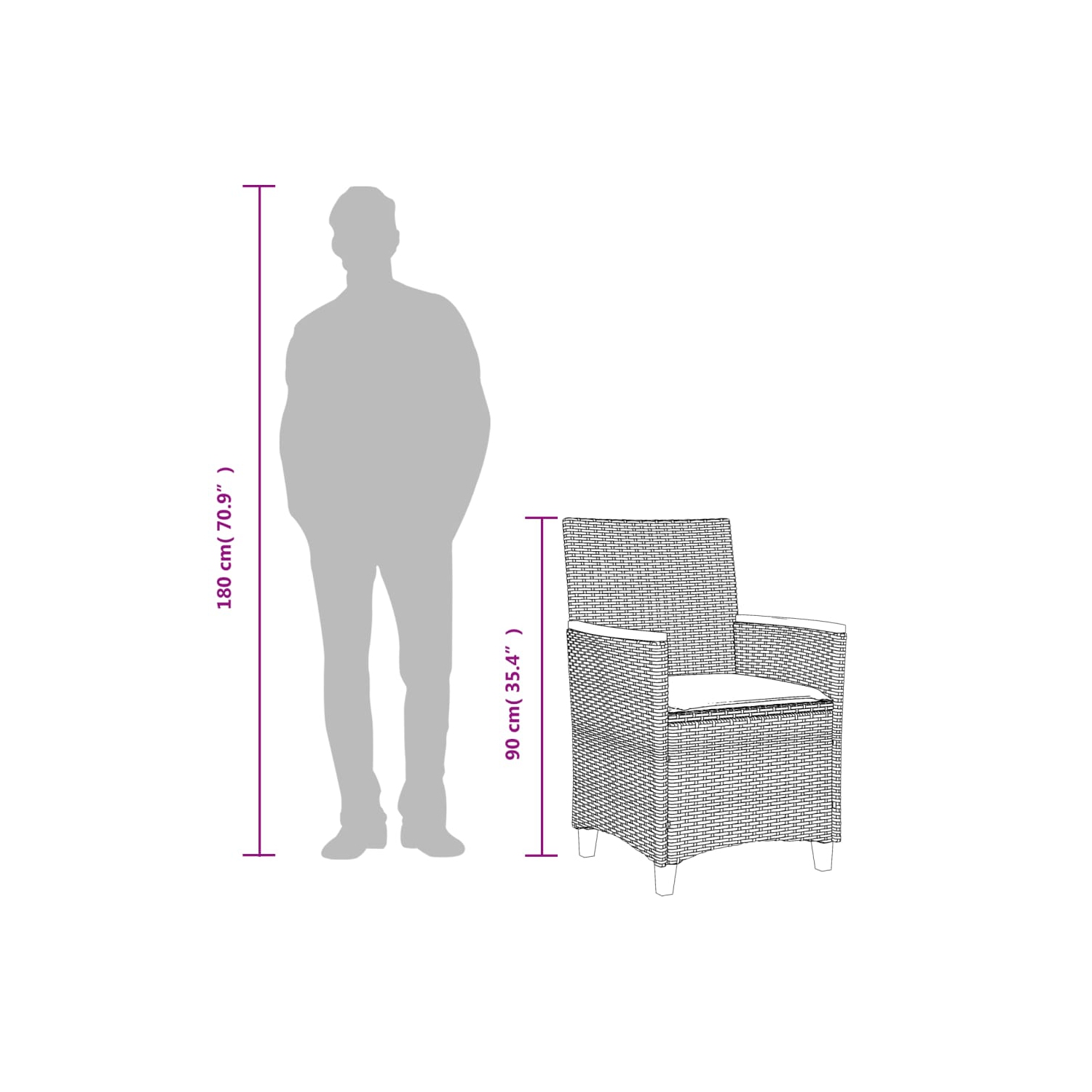 Chaises de jardin vidaXL avec coussins 2 pièces en poly rotin noir et bois massif