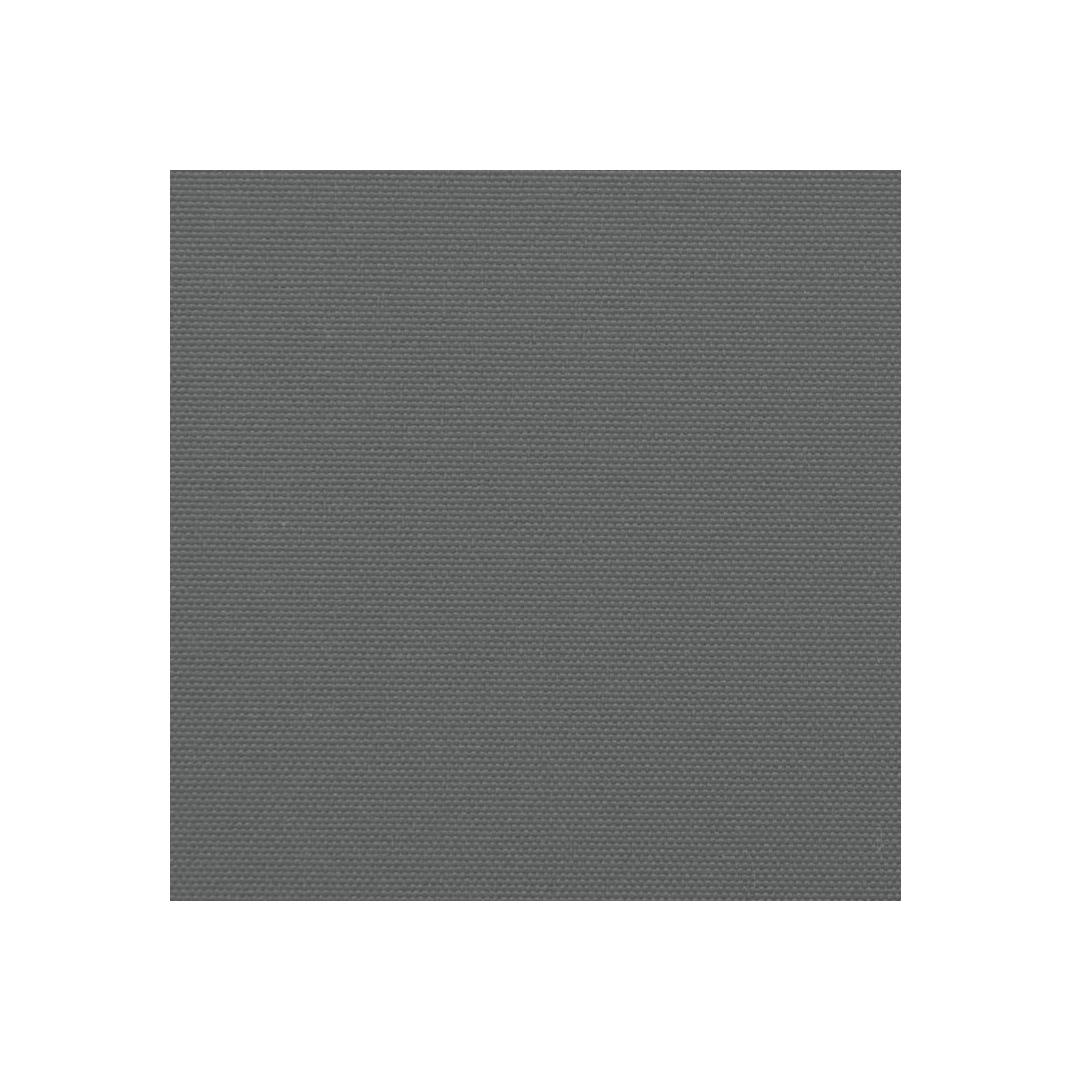 vidaXL Retractable Side Awning Anthracite 180x1000 cm