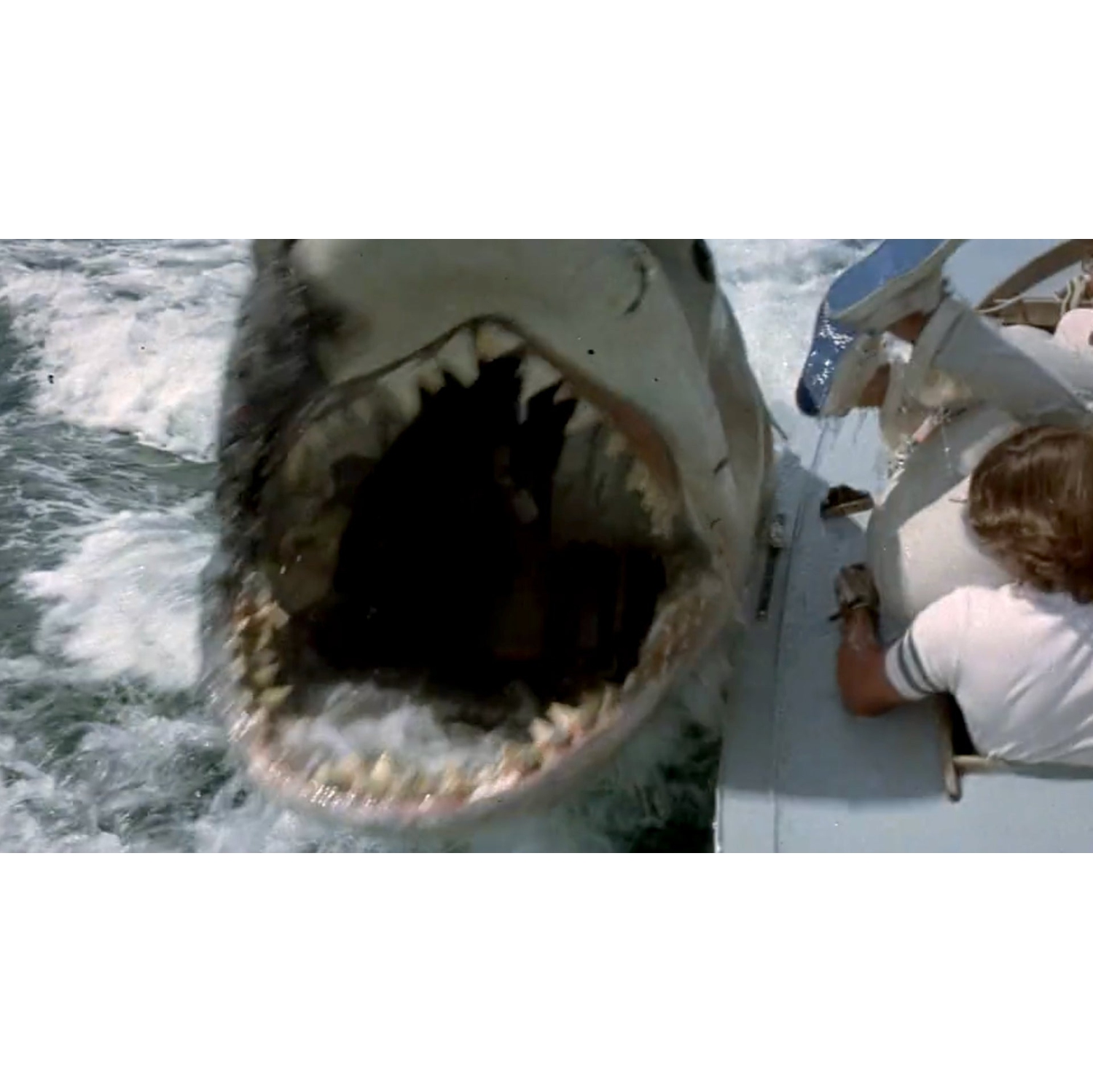 Jaws 3-Movie Collection [DVD]