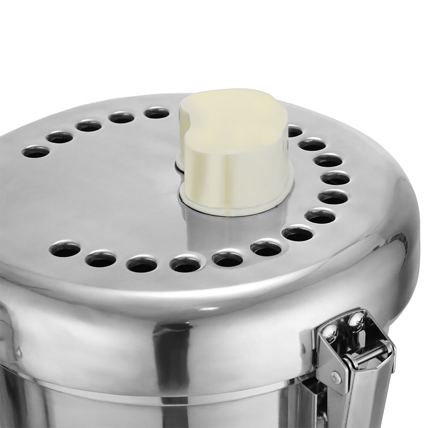 Juicer Machine | Fruit and Vegetables Juice Maker | Stainless Steel Blades | Commercial Juice Extractor | 110V