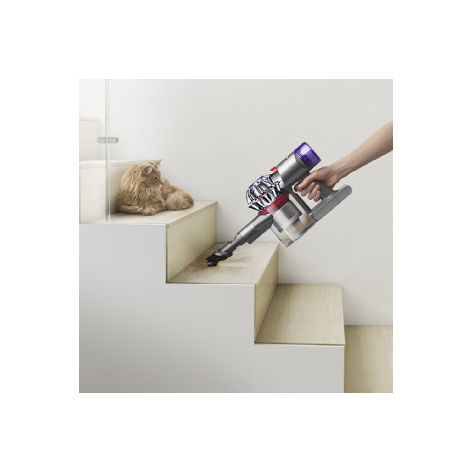 Refurbished Excellent- Dyson V8 Detect Cordless Vacuum , Colour may vary