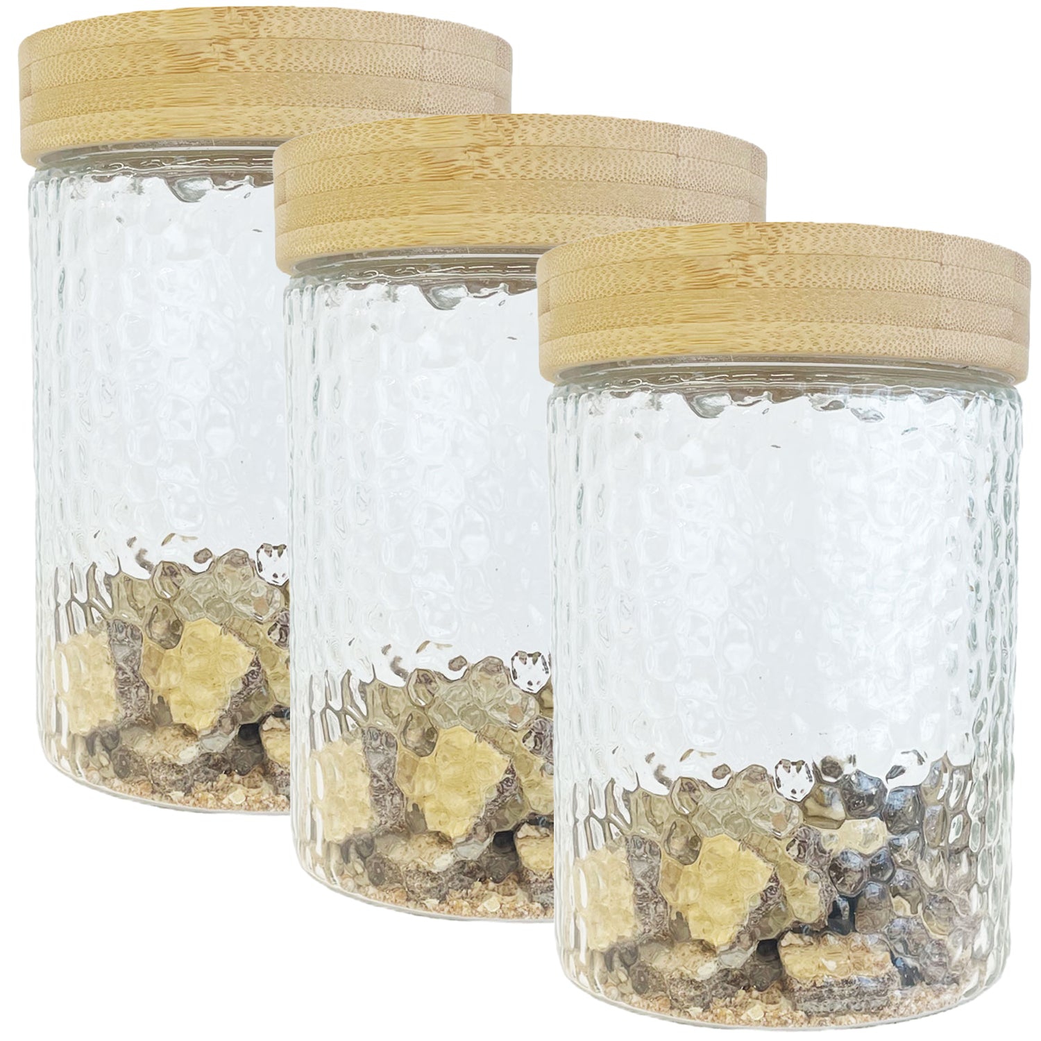 JS Gourmet - Set of 3 Embossed Glass Containers with Airtight Lid, 1300ml Capacity
