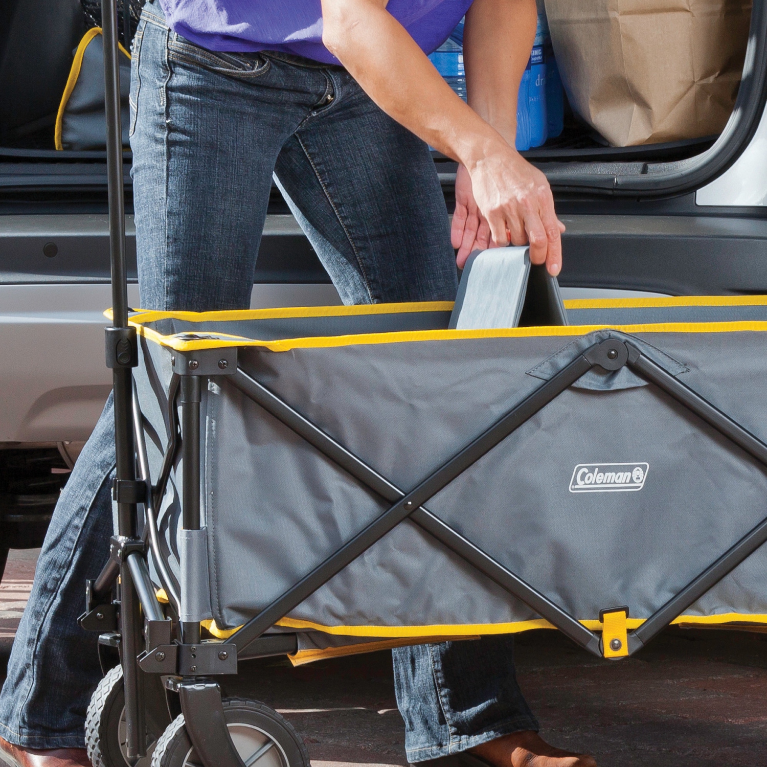 Coleman - Camp Wagon - Gris