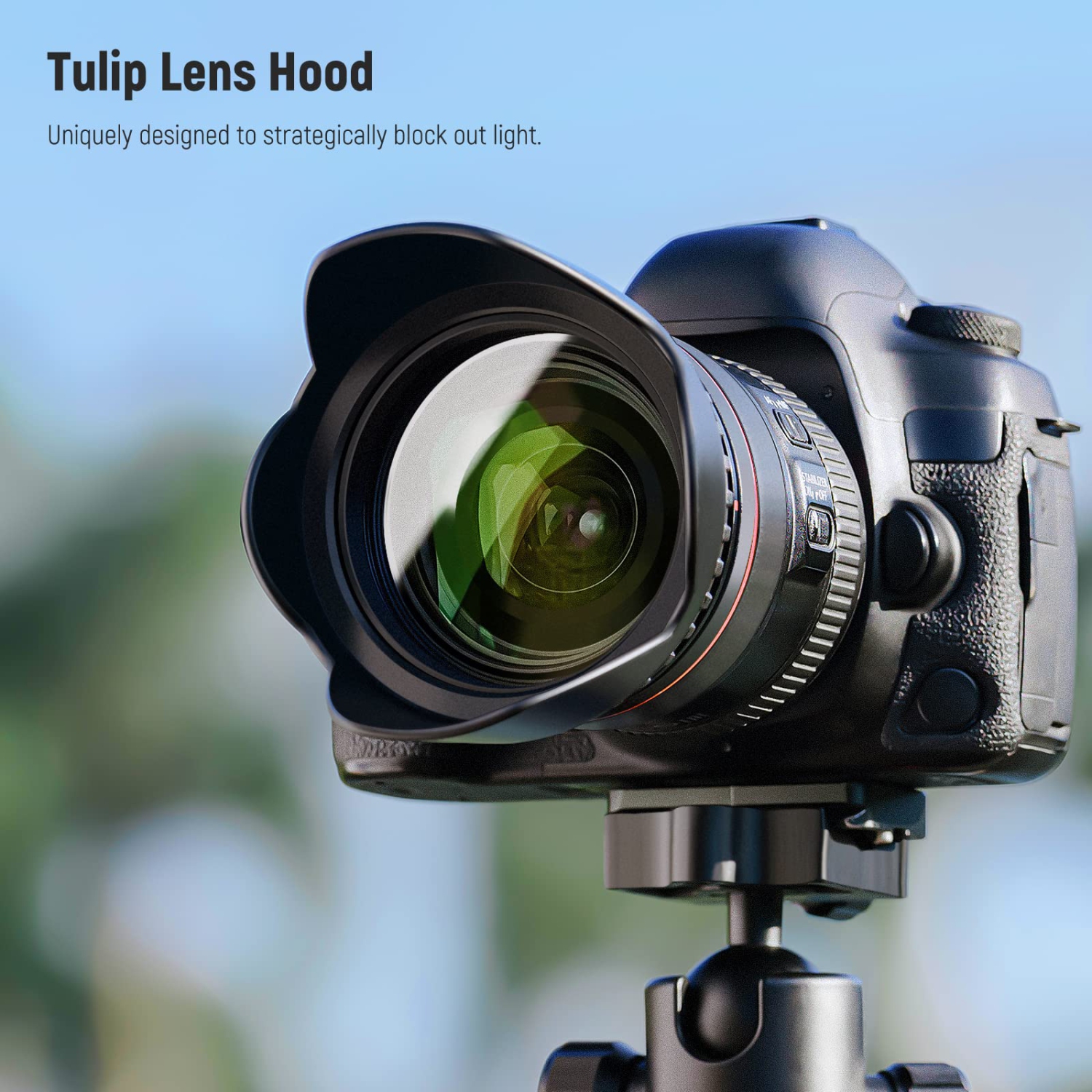 Ensemble de filtres d'objectif de 52&nbsp;mm : UV, CPL, FLD, ND2, ND4, ND8, parasoleil et protège-objectif compatible avec les appareils photo reflex