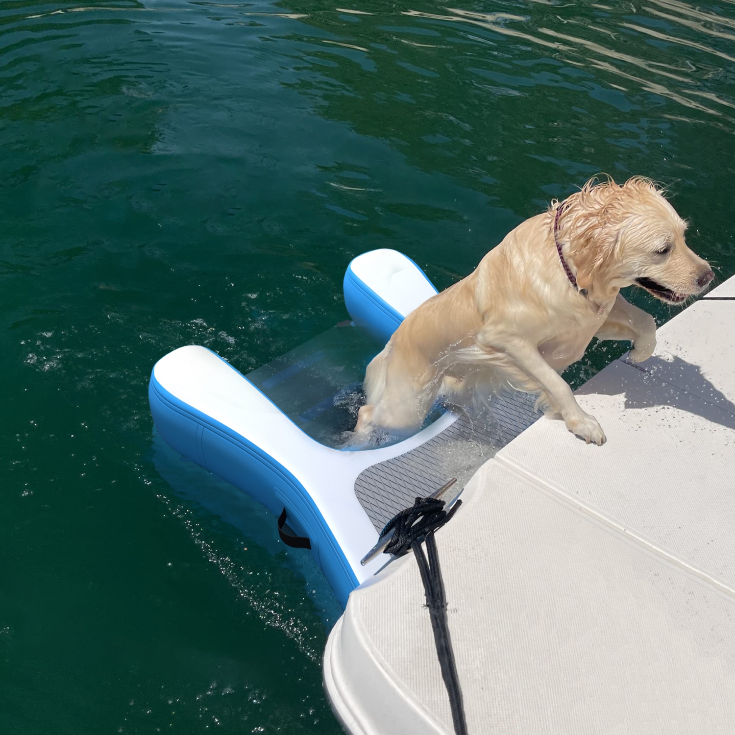 Floating Dog Ramp Inflatable Pet Ladder Up To 242lb