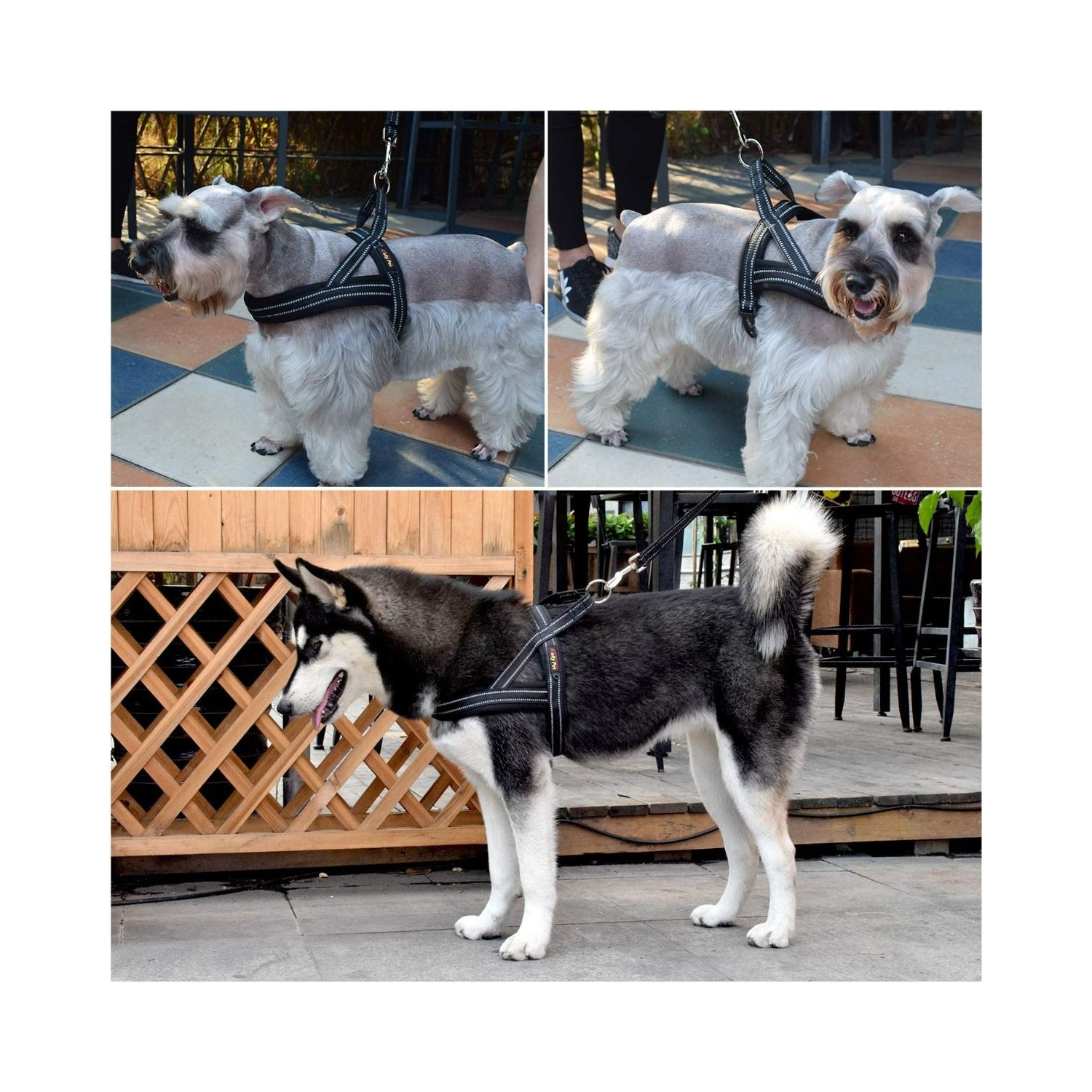 Extra Small Black No-Pull Pet Harness with Reflective Straps Size-XS